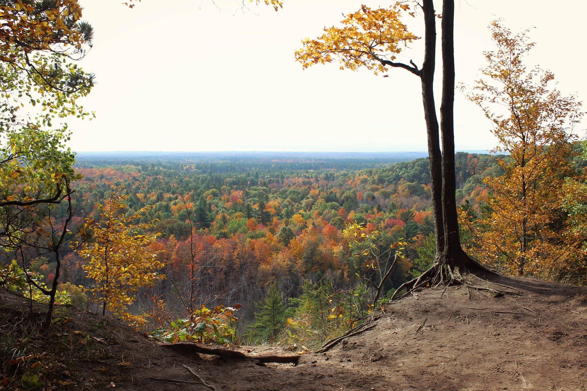 High Rollaways in Buckley r/Michigan