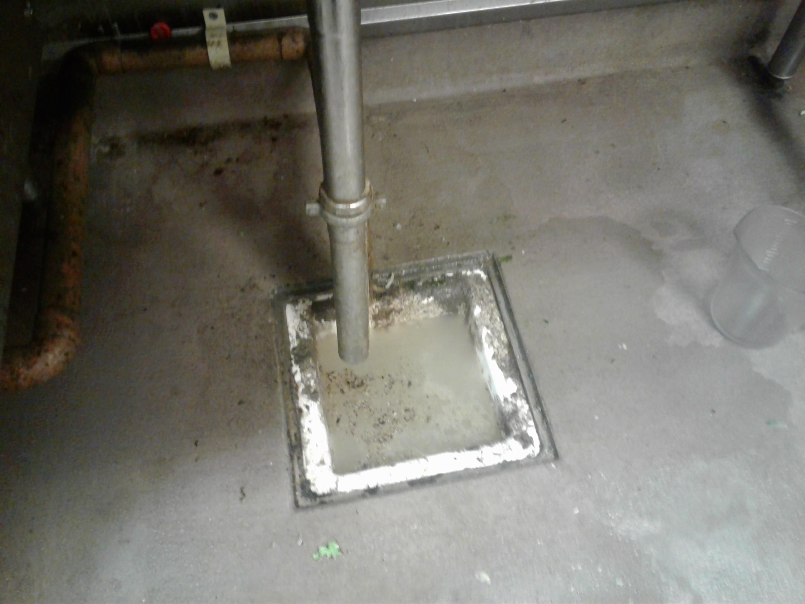 All of the drains in the restaurant are clogged up and drain slowly now