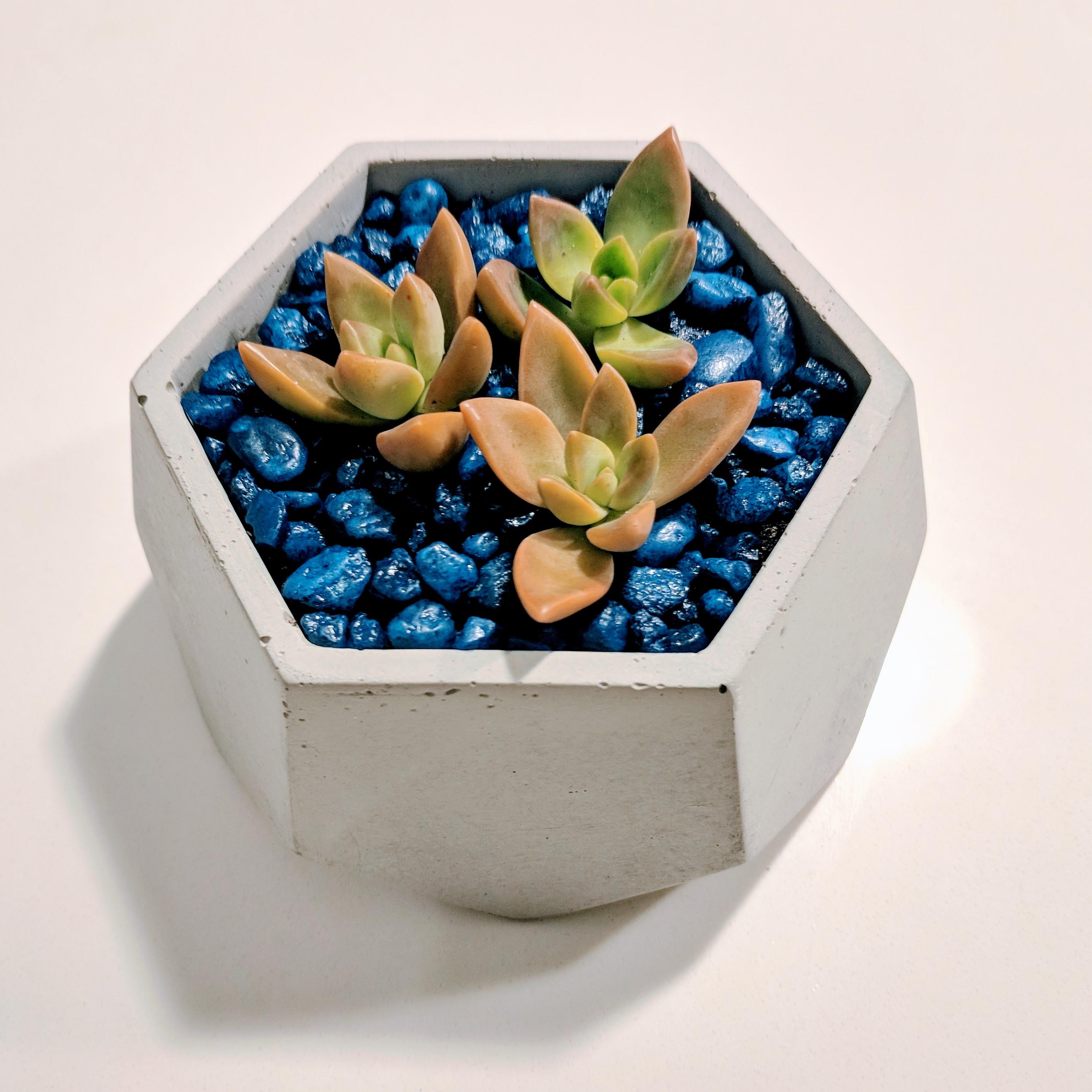 New geometric cement pot I made. r/succulents