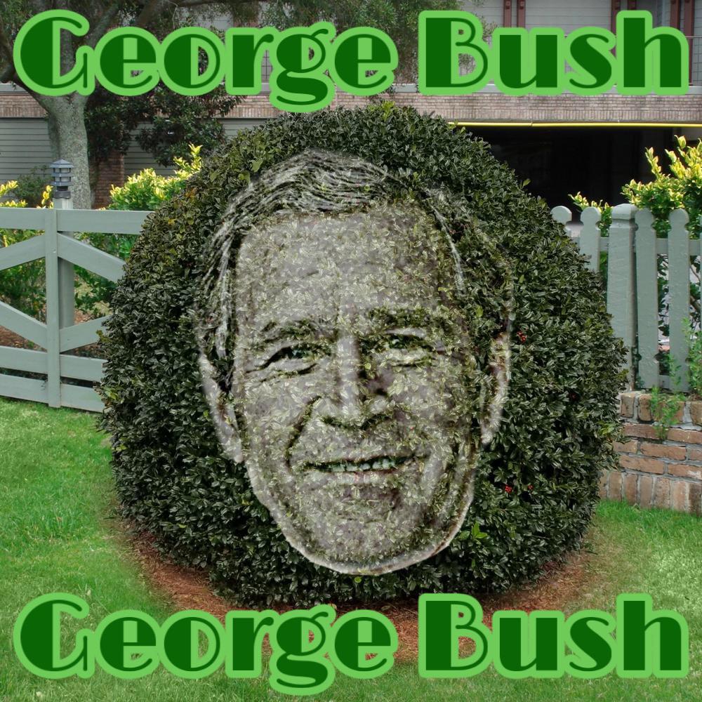 13+ A Plant Or A President Nyt 2 Why is the 43rd President a plant??? r/ThanosCar