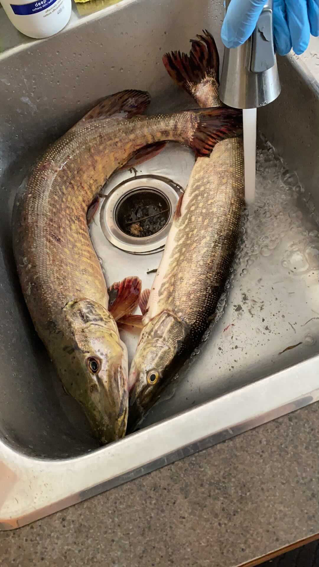 Fishing spots near calgary FishingAlberta