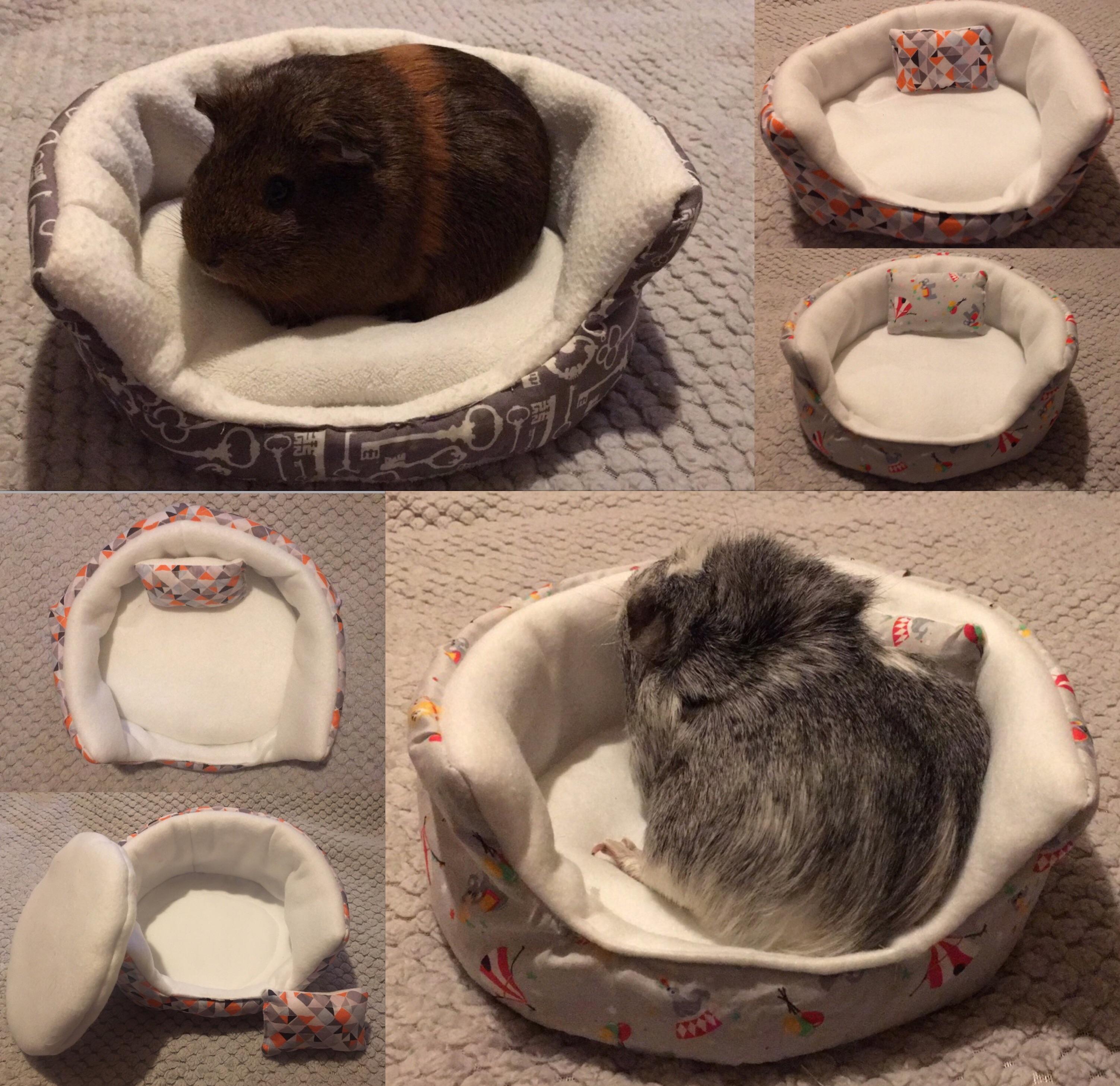 Guinea pig cuddle cups modelled by Jelly Bean and Bumble showing us a