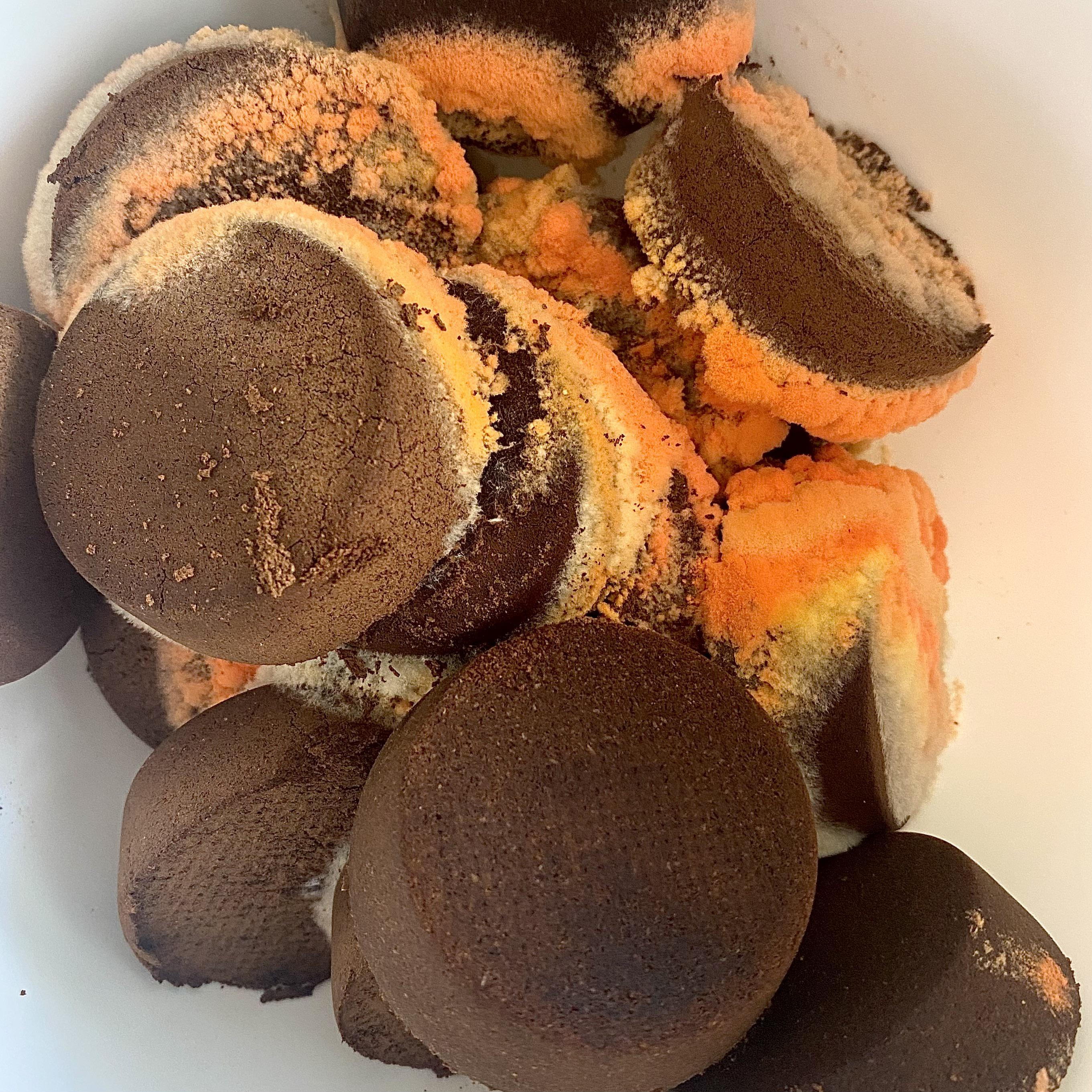 As a barista and fungi lover its the best of both worlds r/mycology