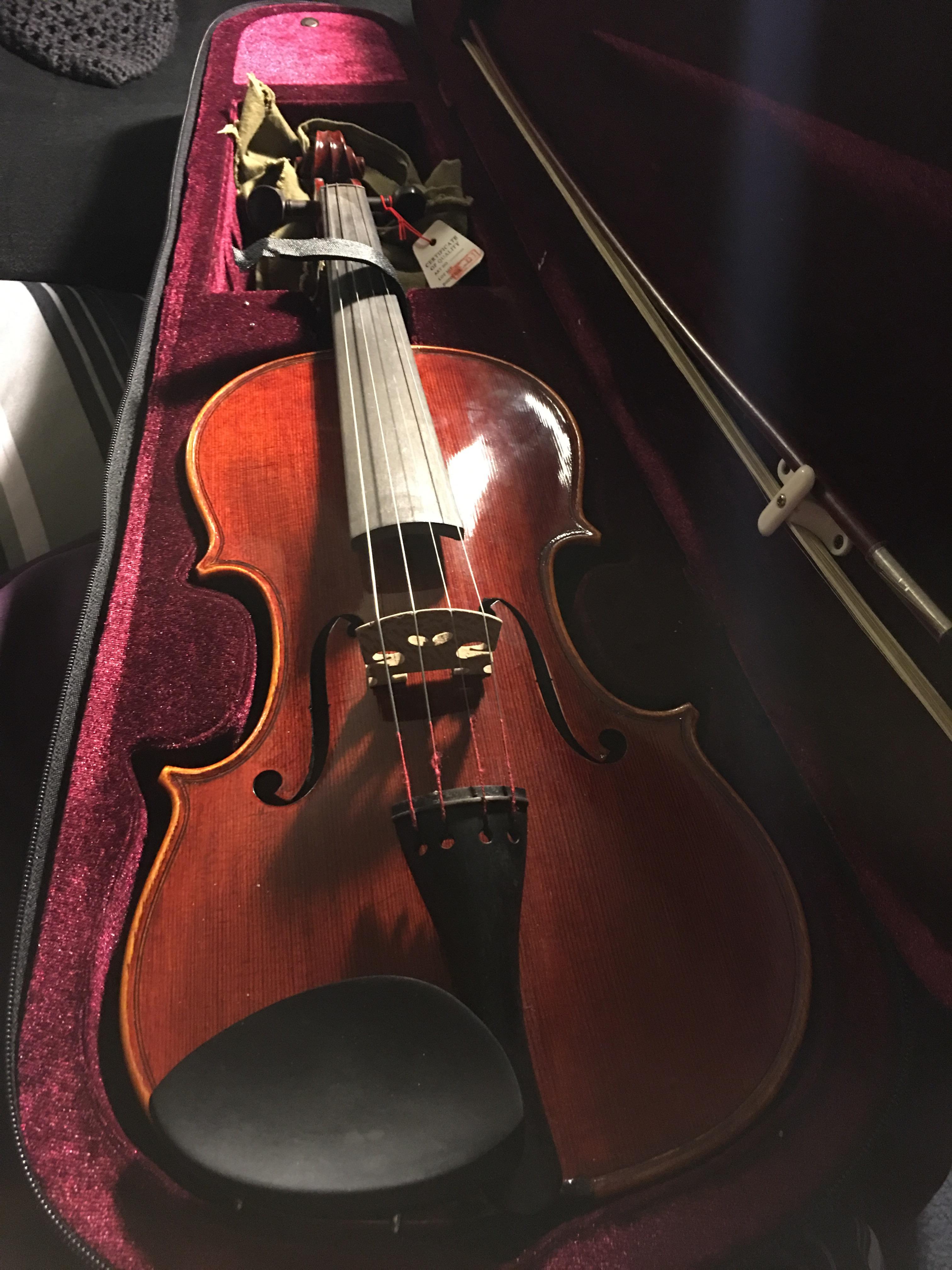 Bought my first beginner violin 🎻 r/violinist