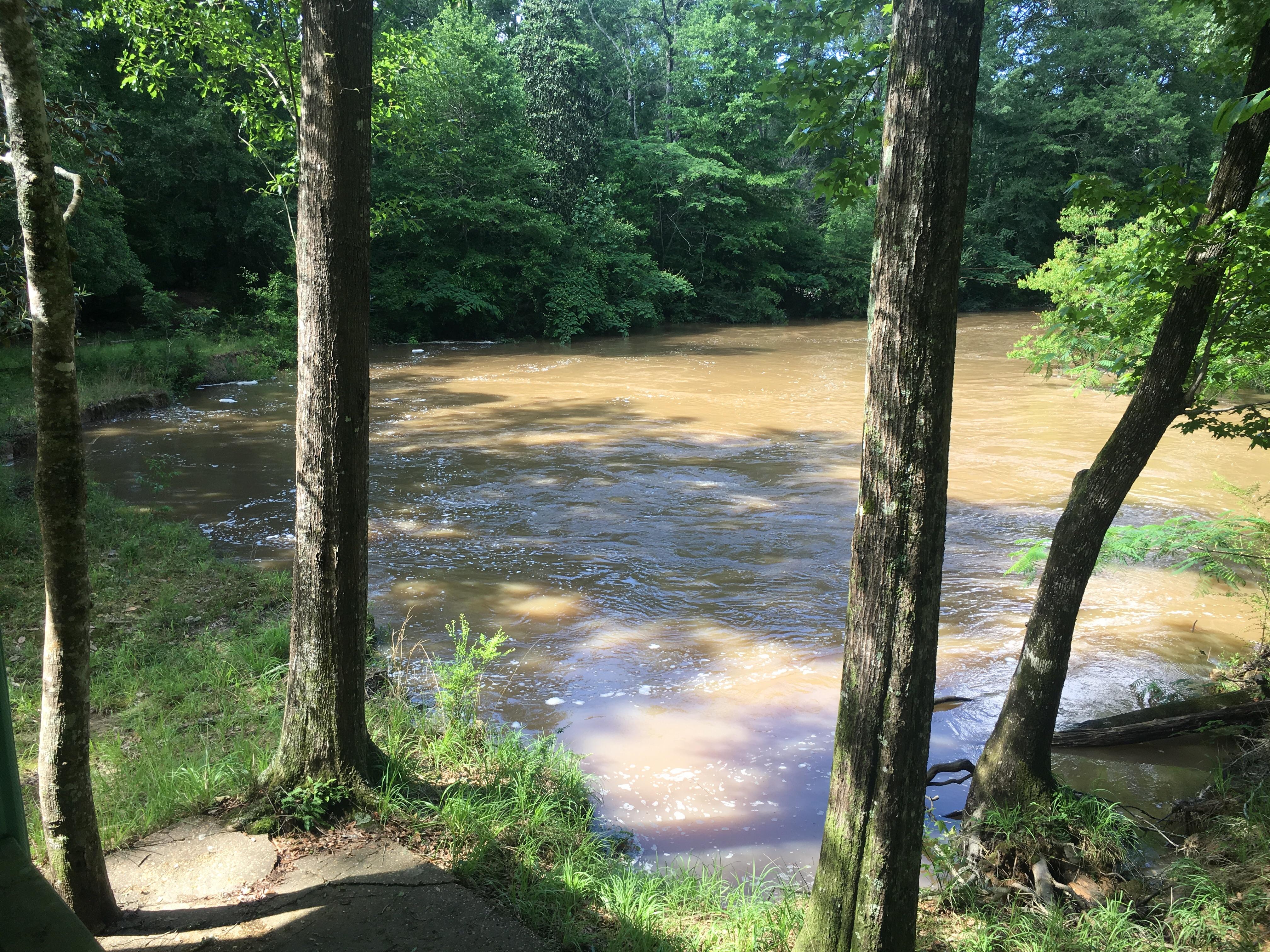 East Fork of Amite Riverjust north of MS/LA line. Dropping. r