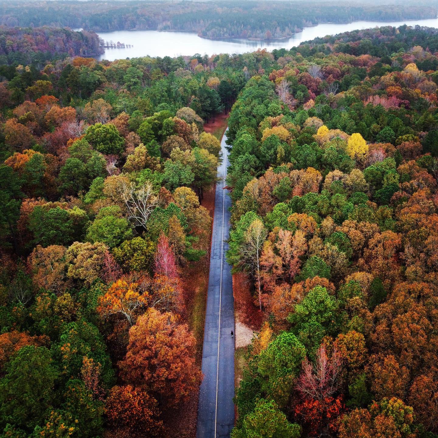 Fall is in full swing MM1 Raleigh, NC r/djimavicmini