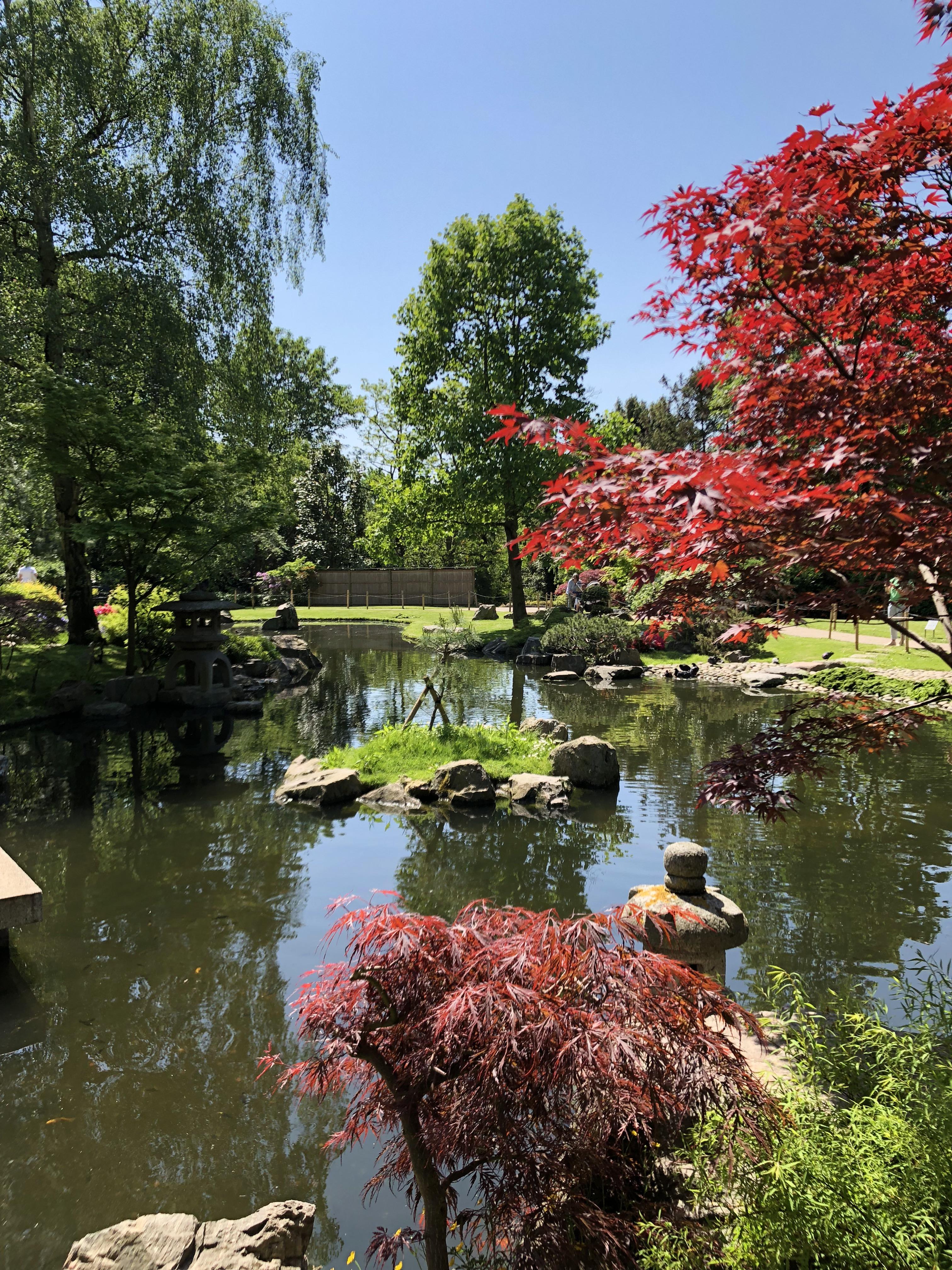 day in Holland Park’s Kyoto Garden london