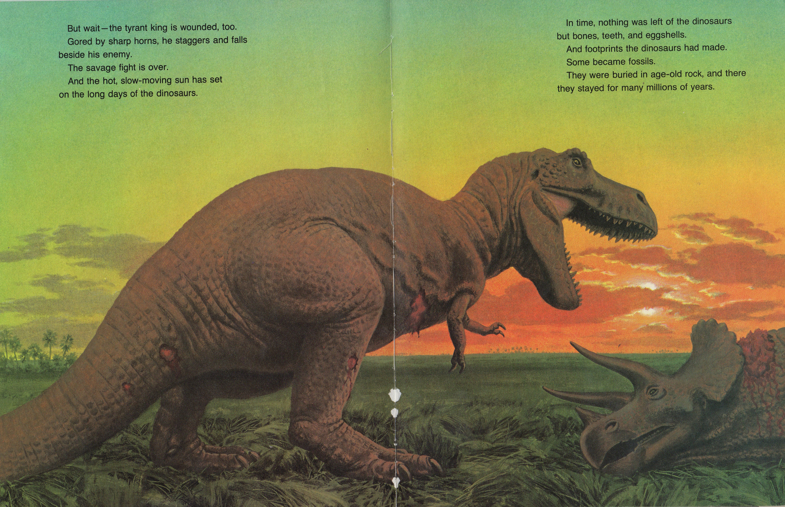 T. REX/TRICERATOPS Jay H. Matternes National Geographic r/Dinosaurs