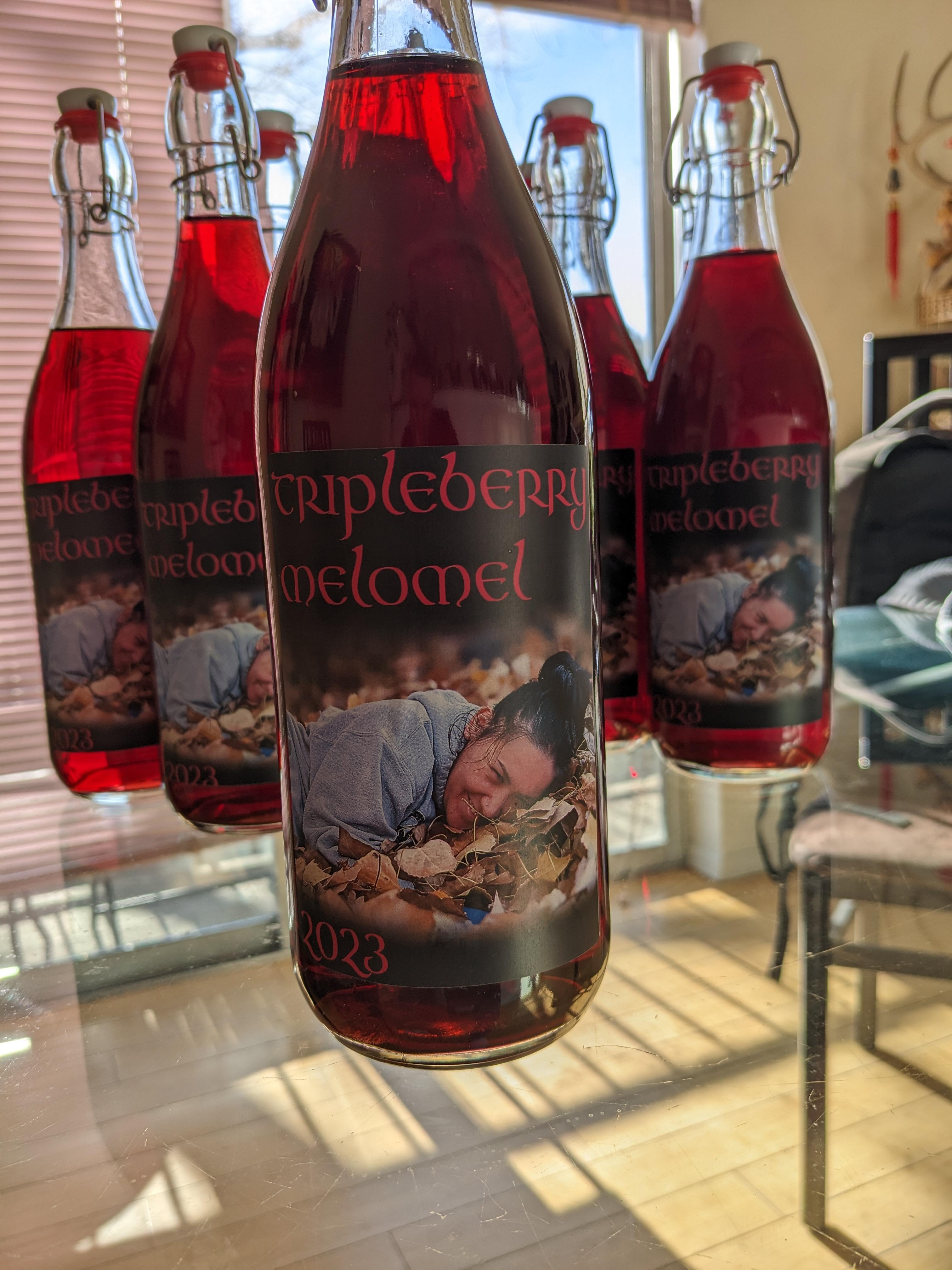 My first bottled mead (and my first melomel). r/mead