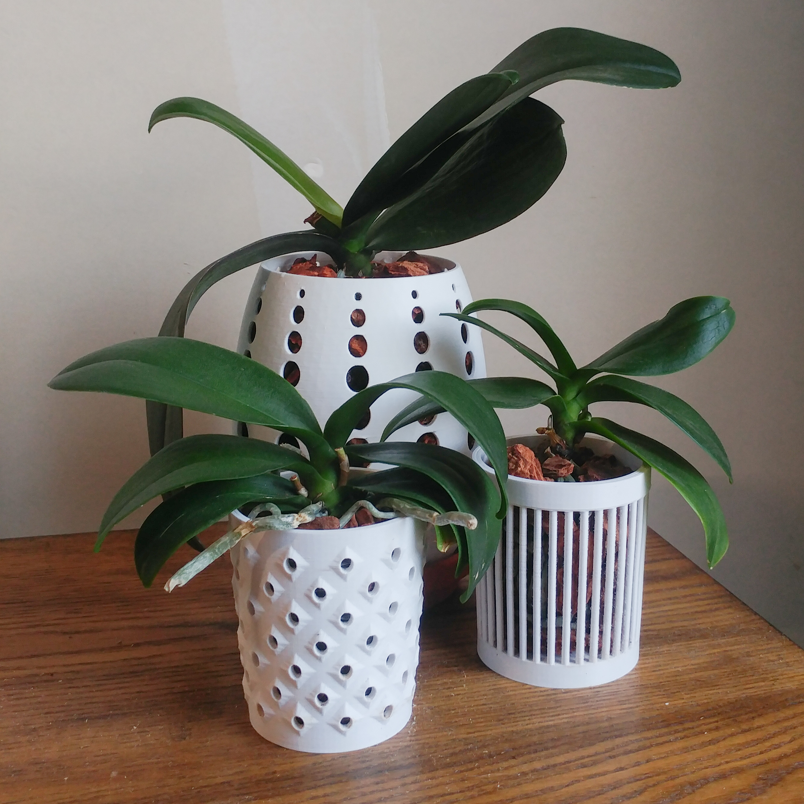 Just repotted my (very sad) orchids into new 3D printed pots that I