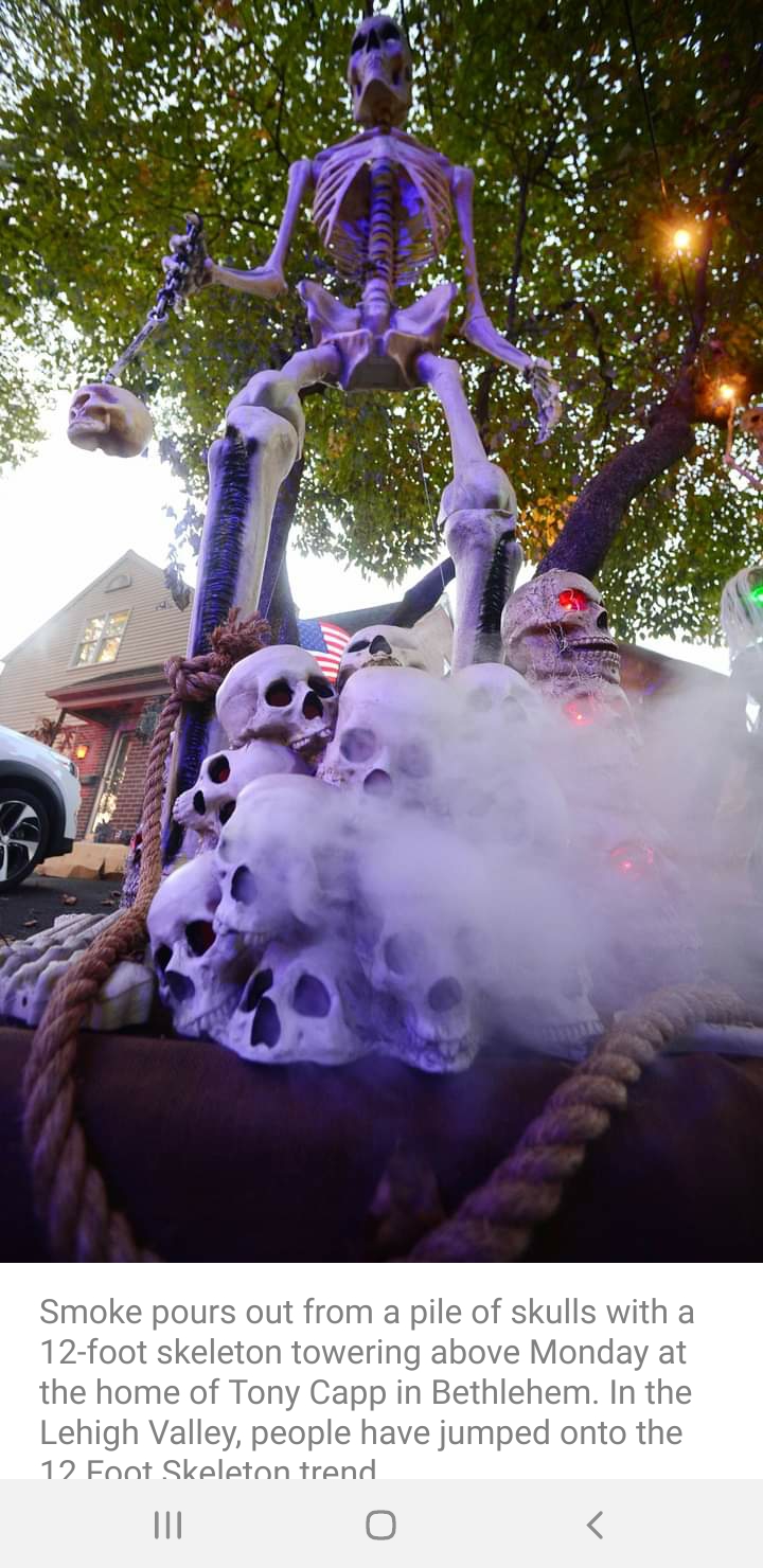 What street, besides Beard, has the best Tallahassee Halloween
