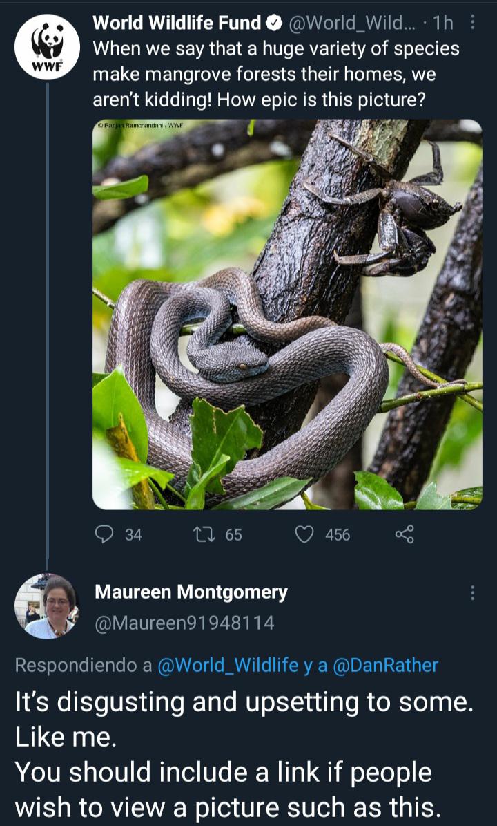 Are Dogs Scared Of Snakes