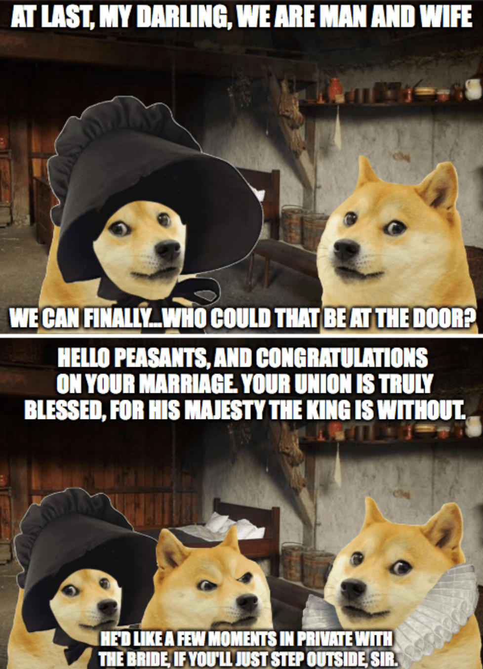 Doge King Meme apsgeyser