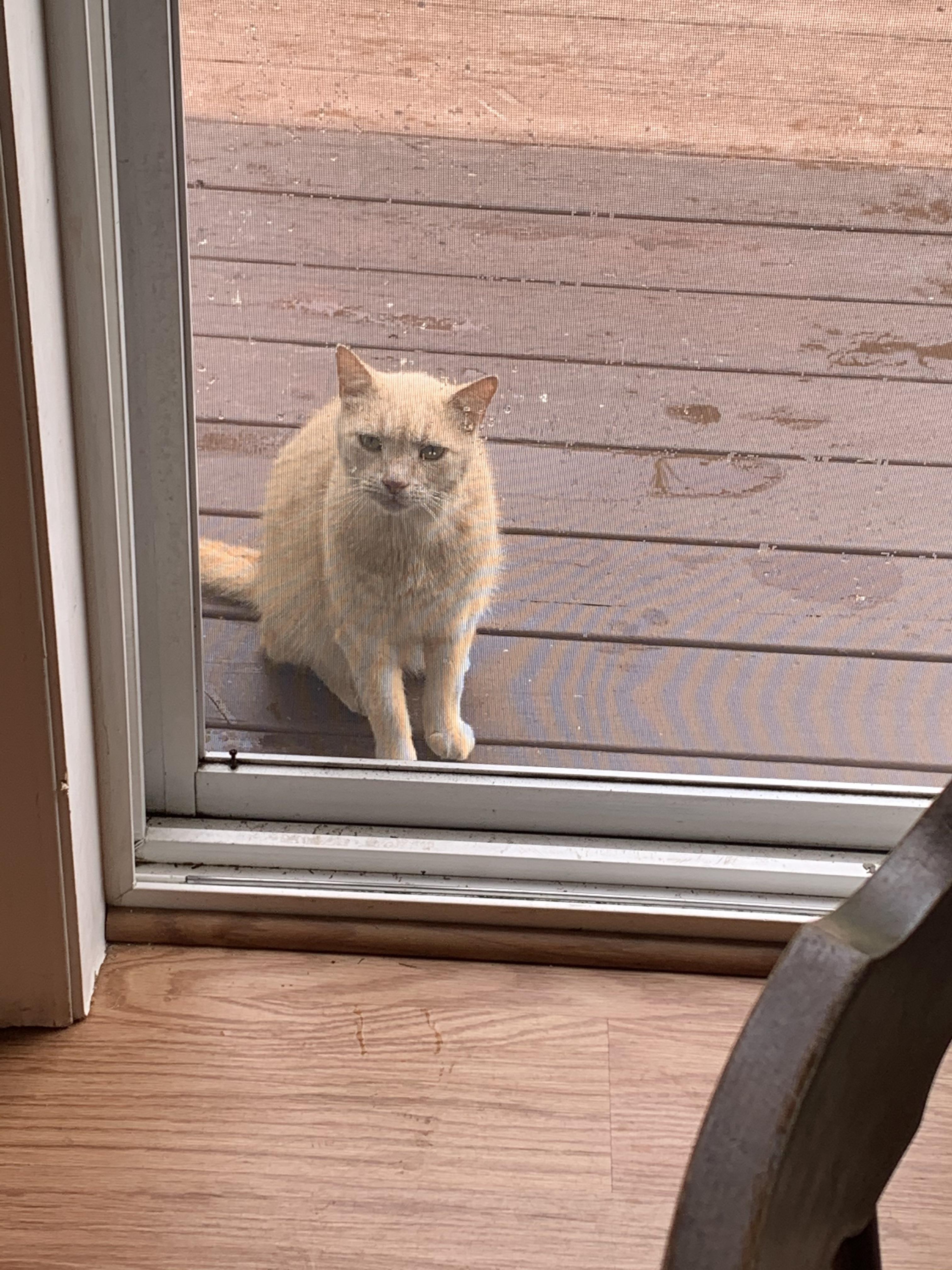 What Is A Roast Beef Kitty at Sarah Walden blog