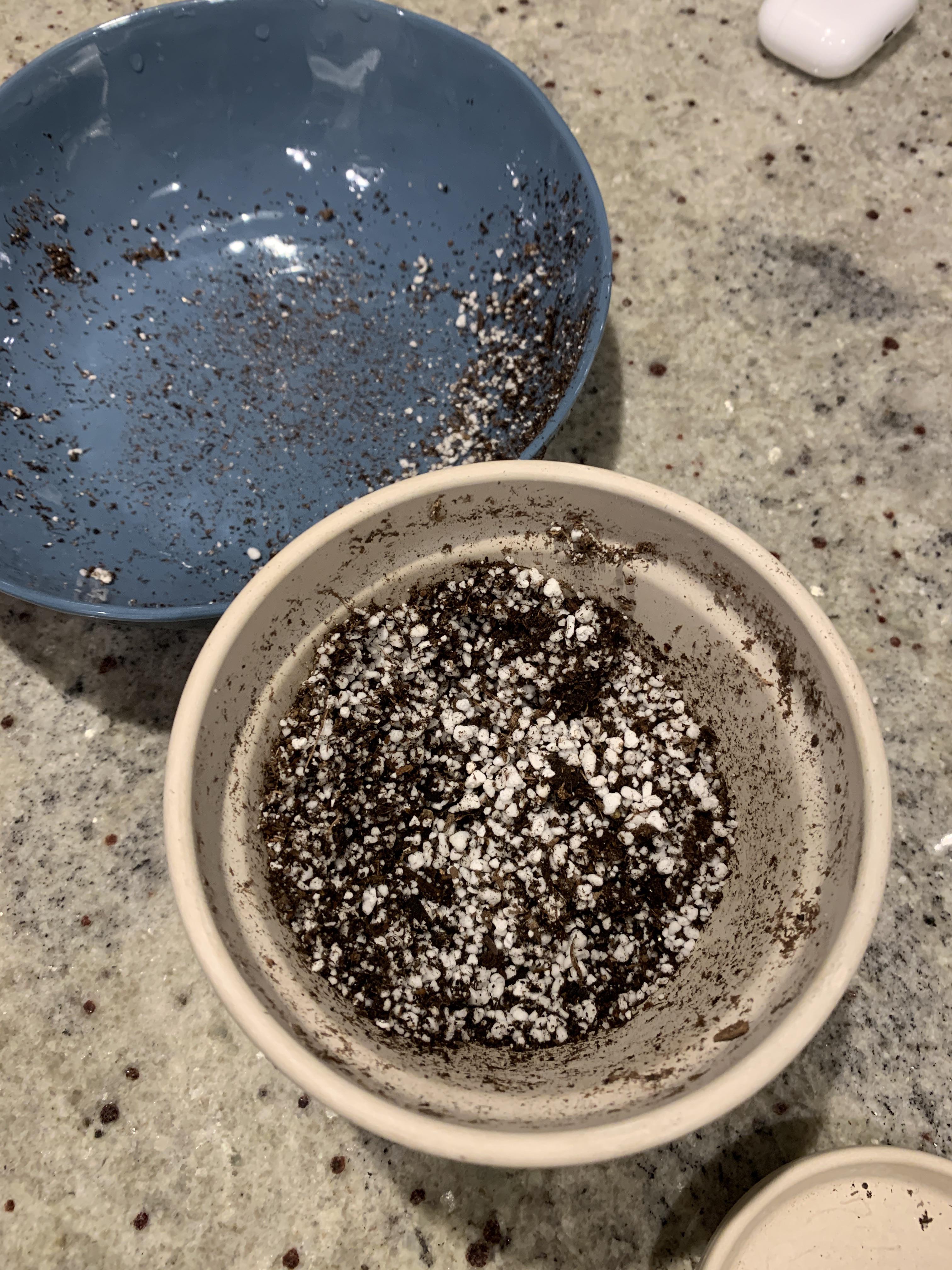SO much perlite and the bottom half of my soil was still damp for weeks