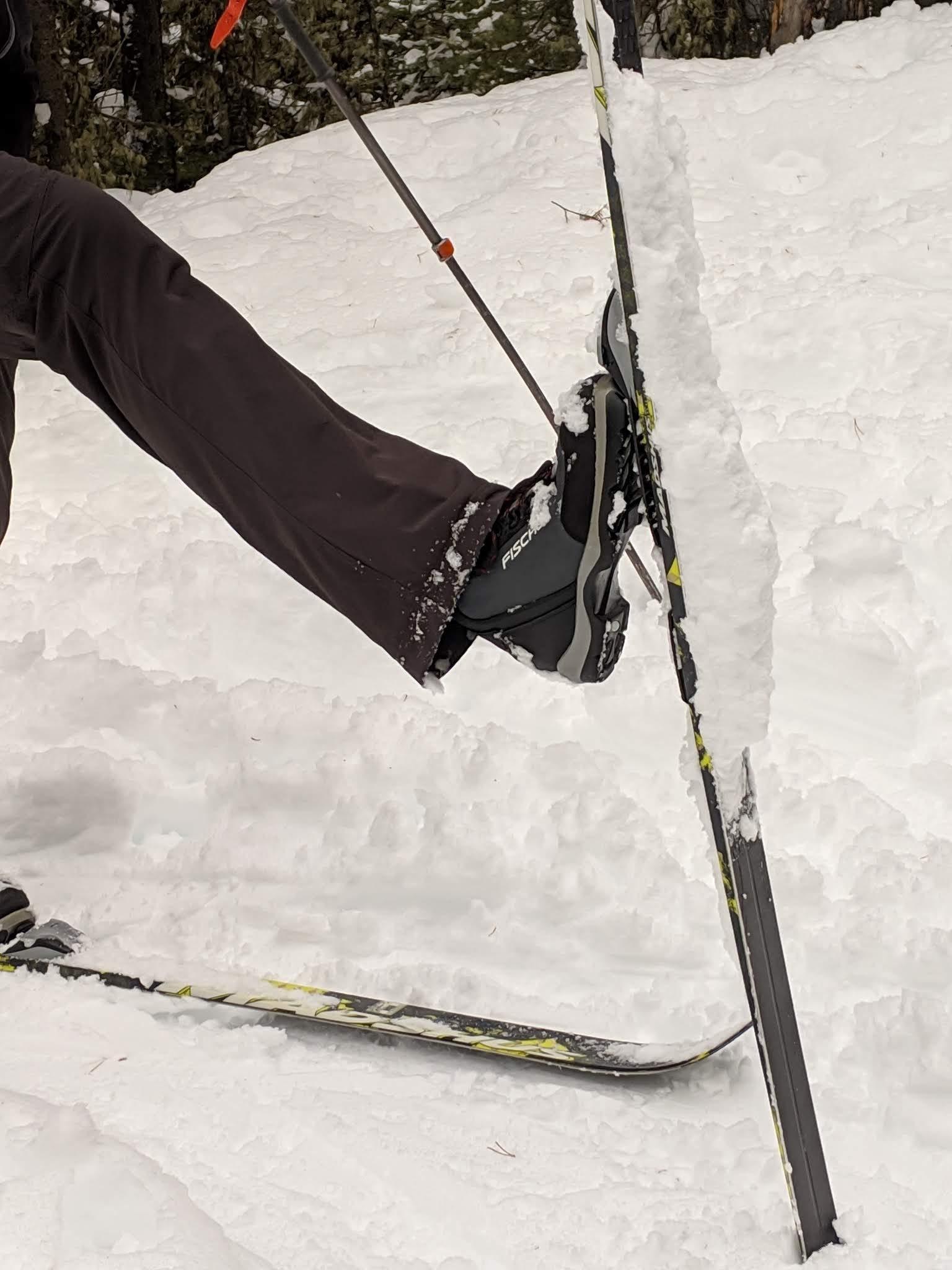 How do you wax fish scales? r/telemark
