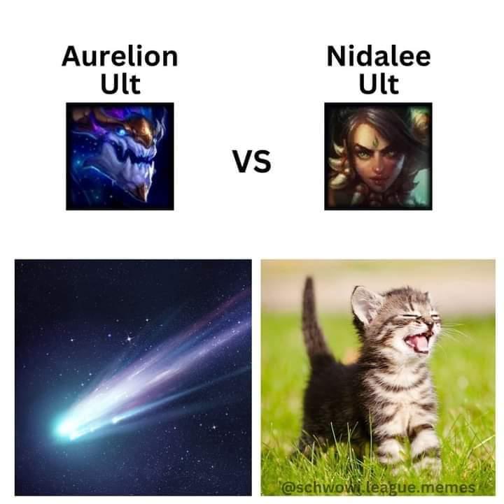 Aurelion sol *bombards you with star* Nidalee*meow* r/rankup