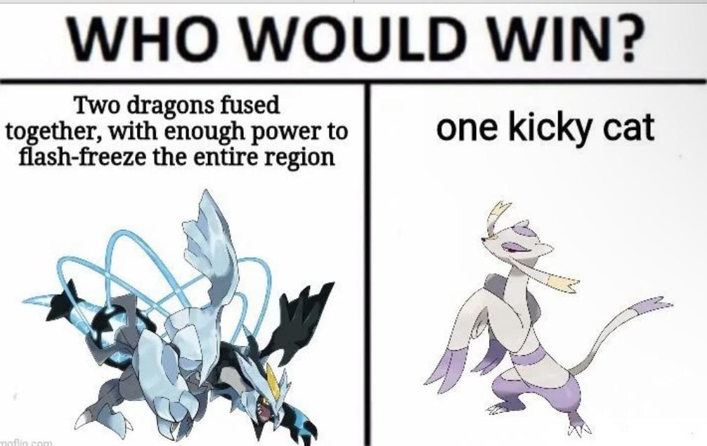 Time for high jump kick r/pokemonmemes