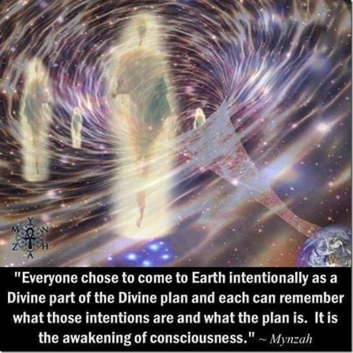 Divine plan Psychic