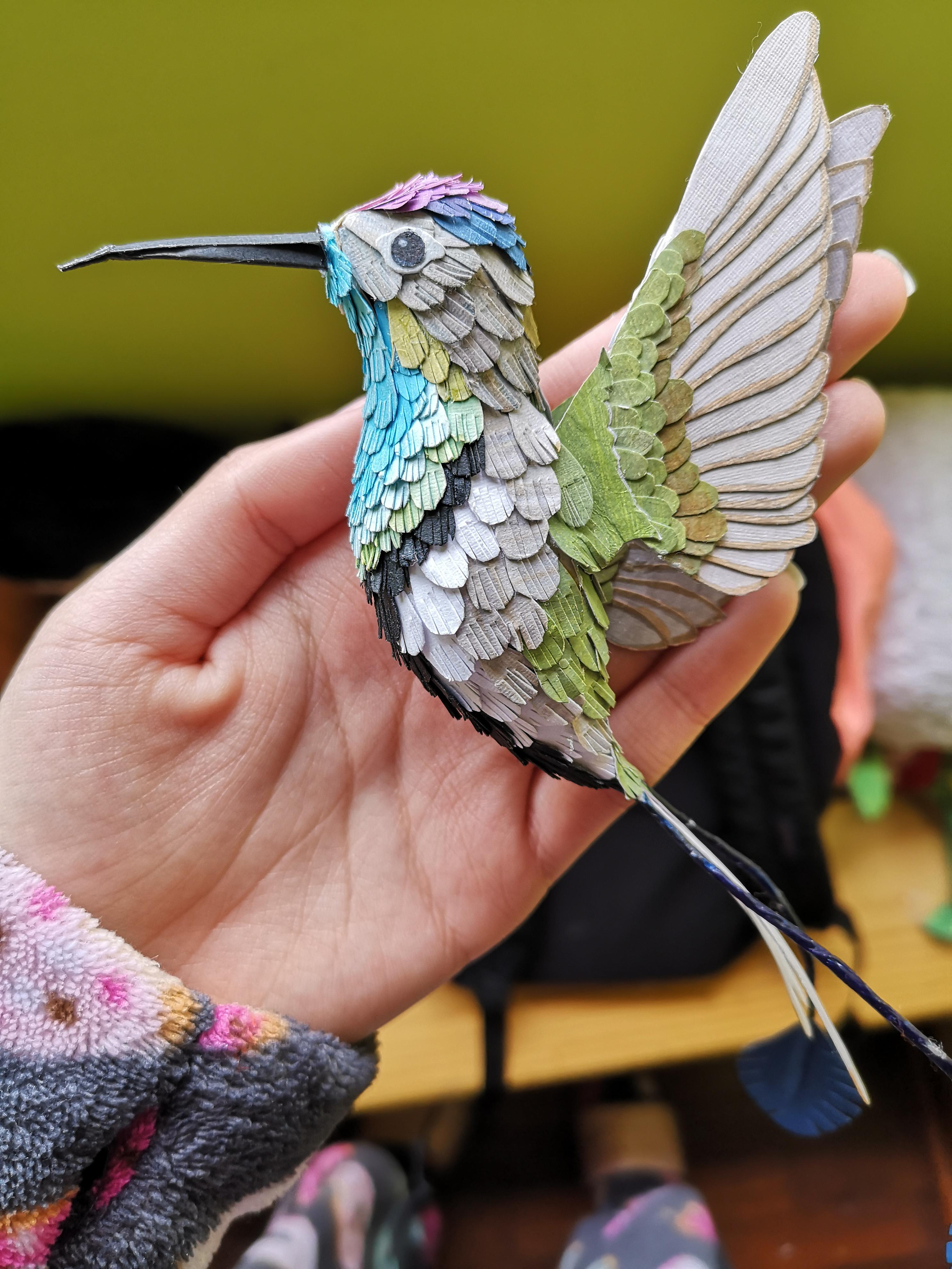 Im making this hummingbird know as the "Marvelous Spatuletail" 100 out