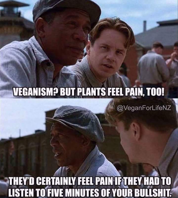 Plants feel pain, pt. 2 r/veganmemes