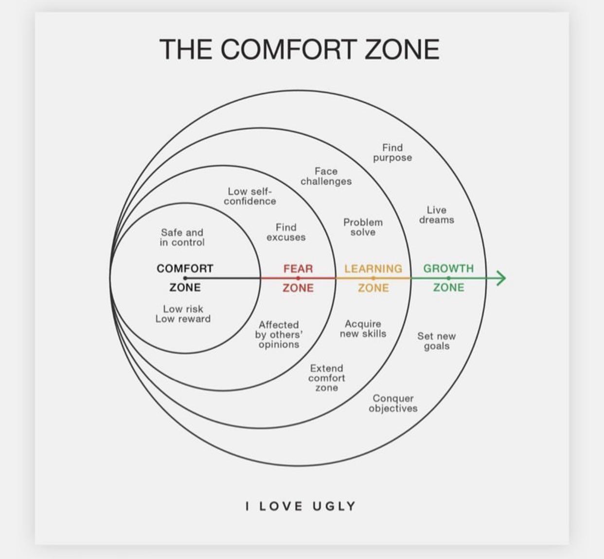 The Comfort Zone r/MotivationalPics