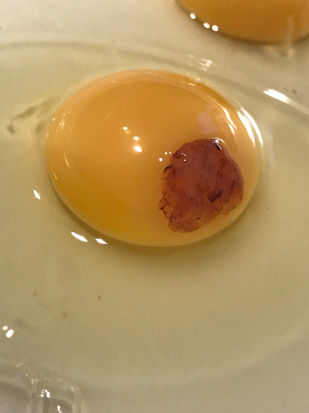 What is this on an egg yolk?! r/Whatisthis