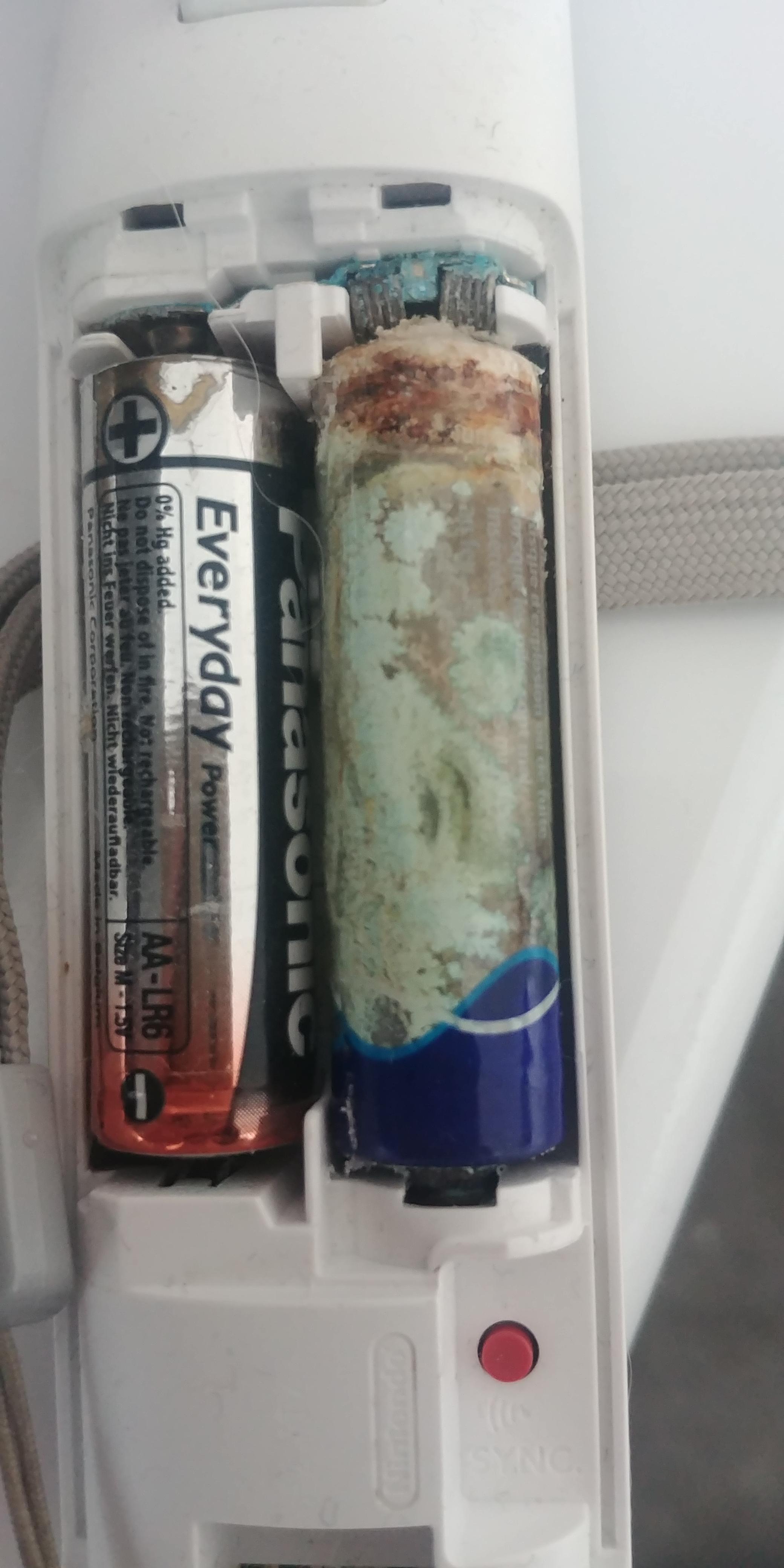 This algae that grew on the batteries of my old wii remote r