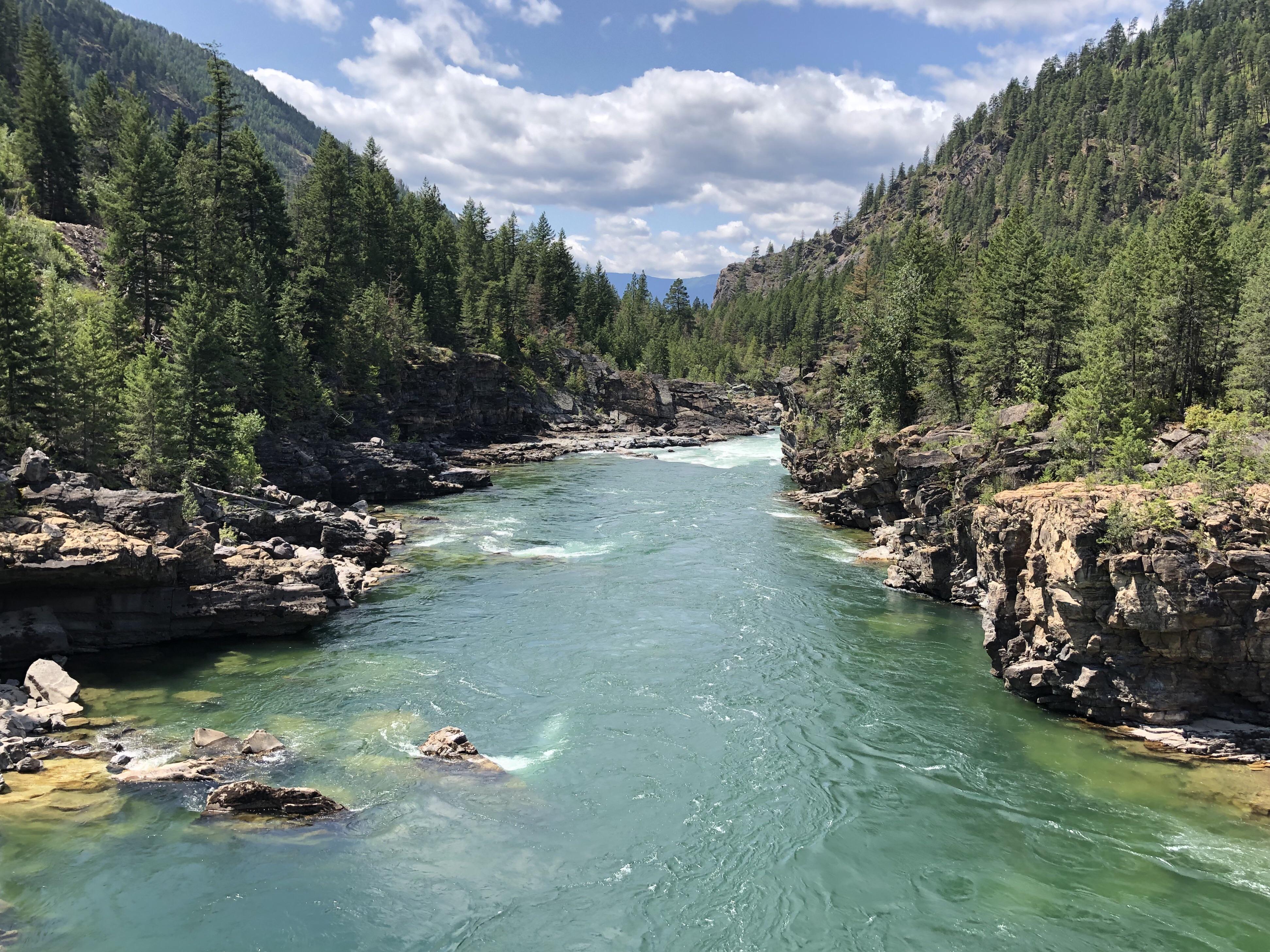 Do national forests count? Kootenai River in the Kootenai National