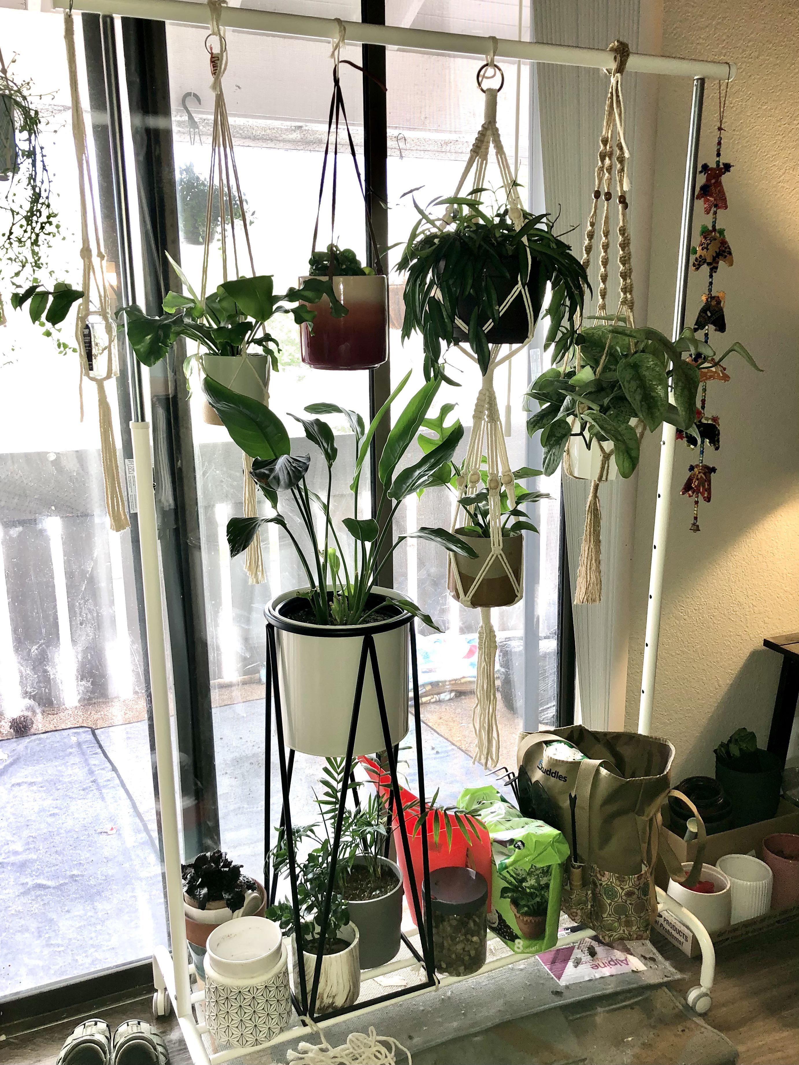 12 clothing rack from ikea is perfect for hanging a few green friends