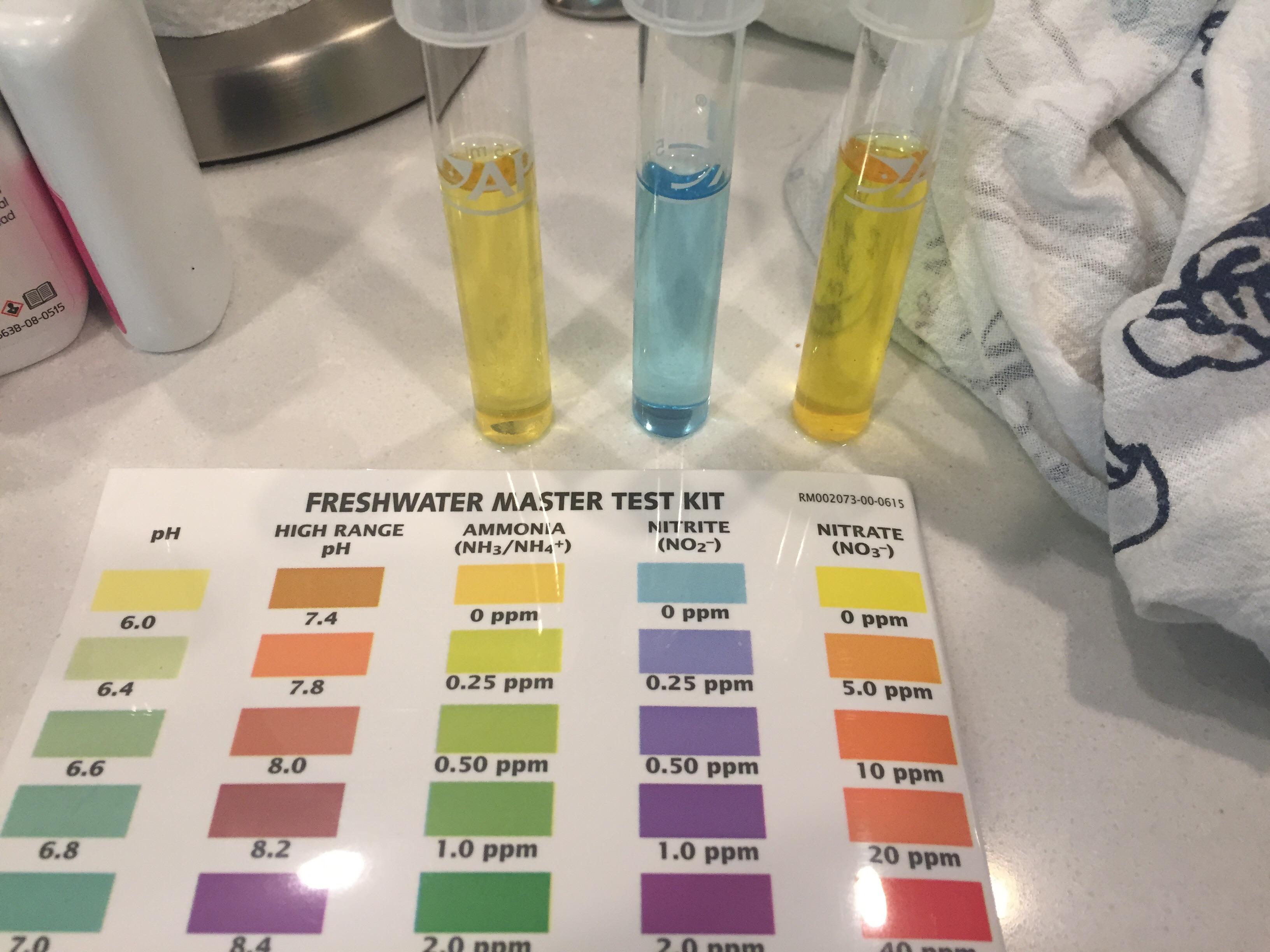 Either I'm color blind or yesterday my nitrate tests were inaccurate