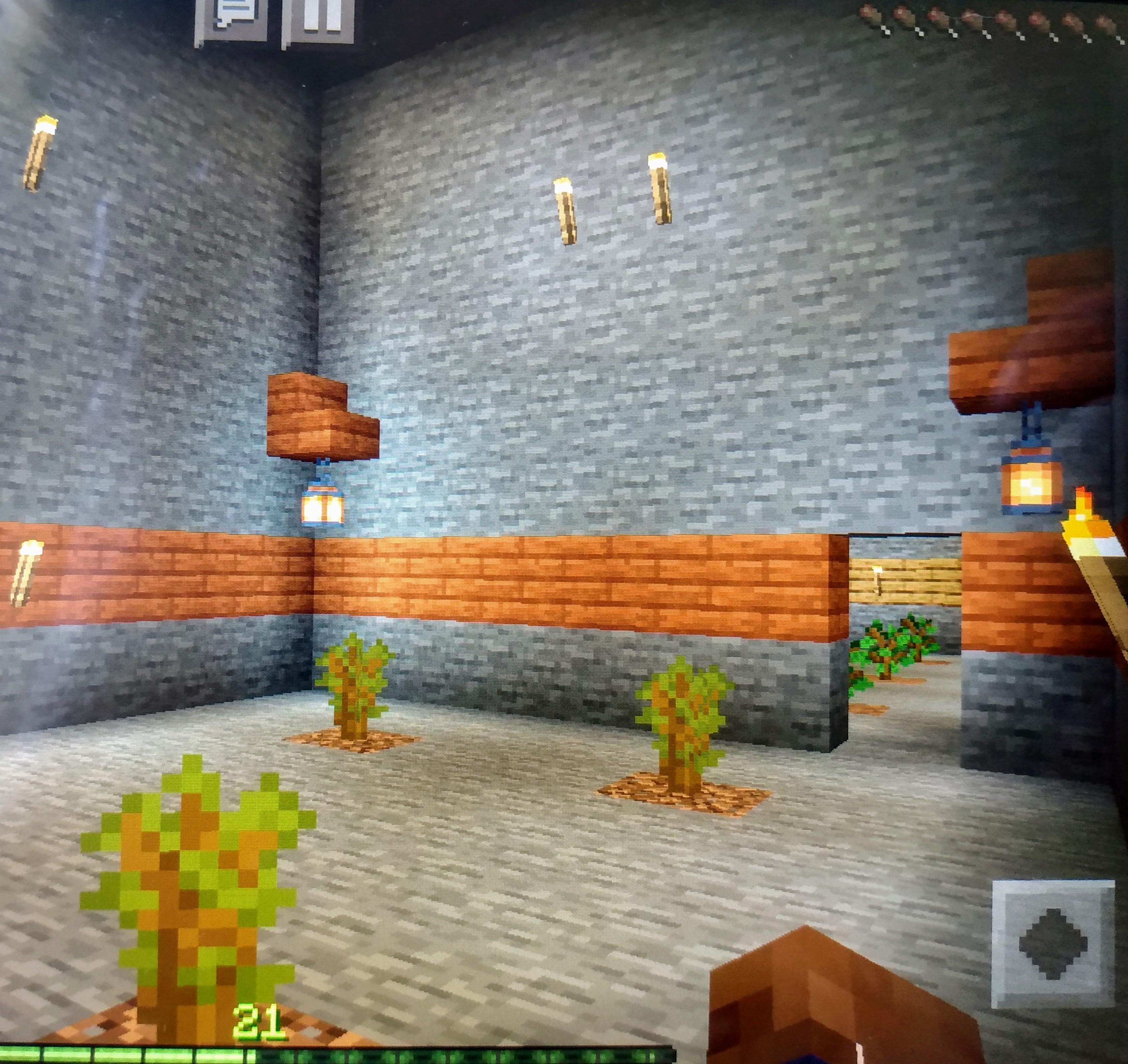 Why won't my acacia trees grow? (bedrock; sorry for quality) r/Minecraft