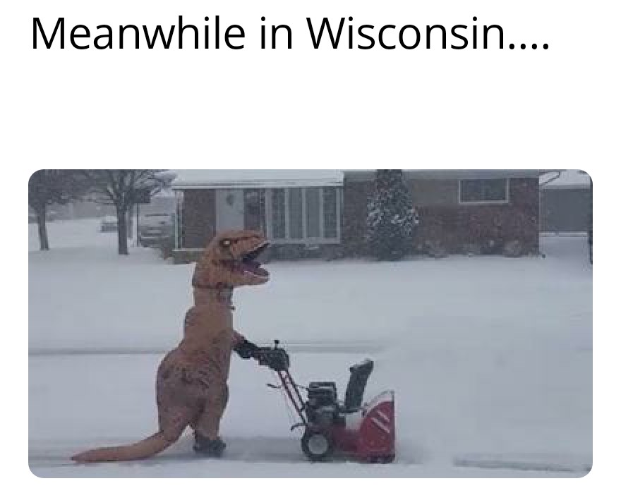 The country celebrates Halloween r/madisonwi