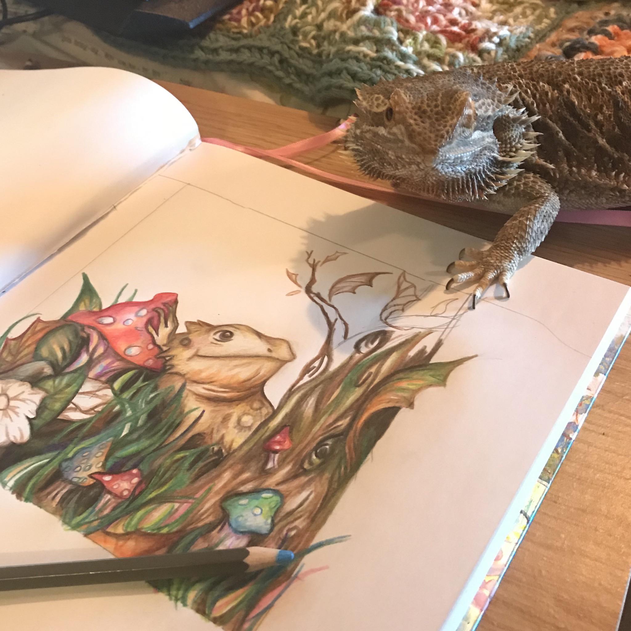 I'm writing a storybook about a little bearded dragon