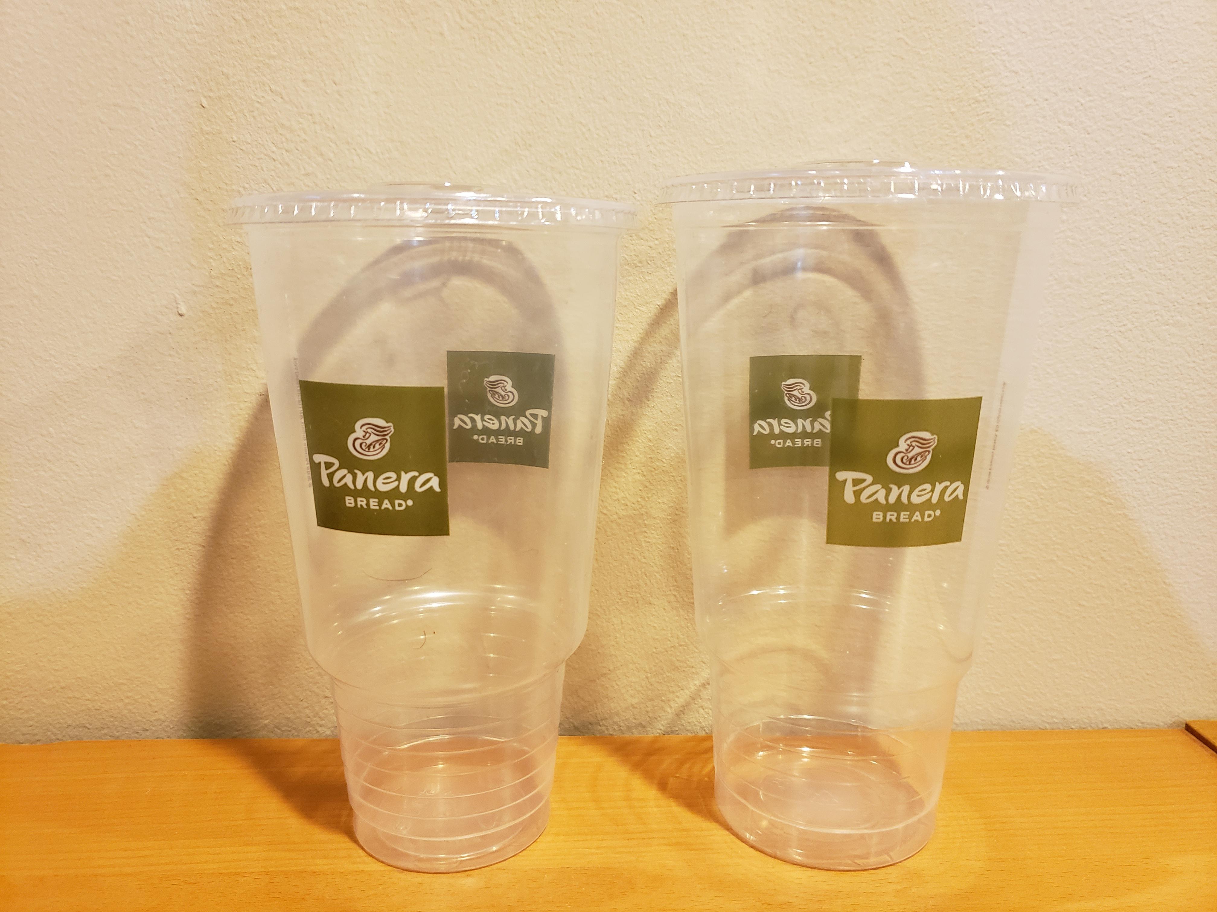 New Large size cups can you tell the difference? r/Panera