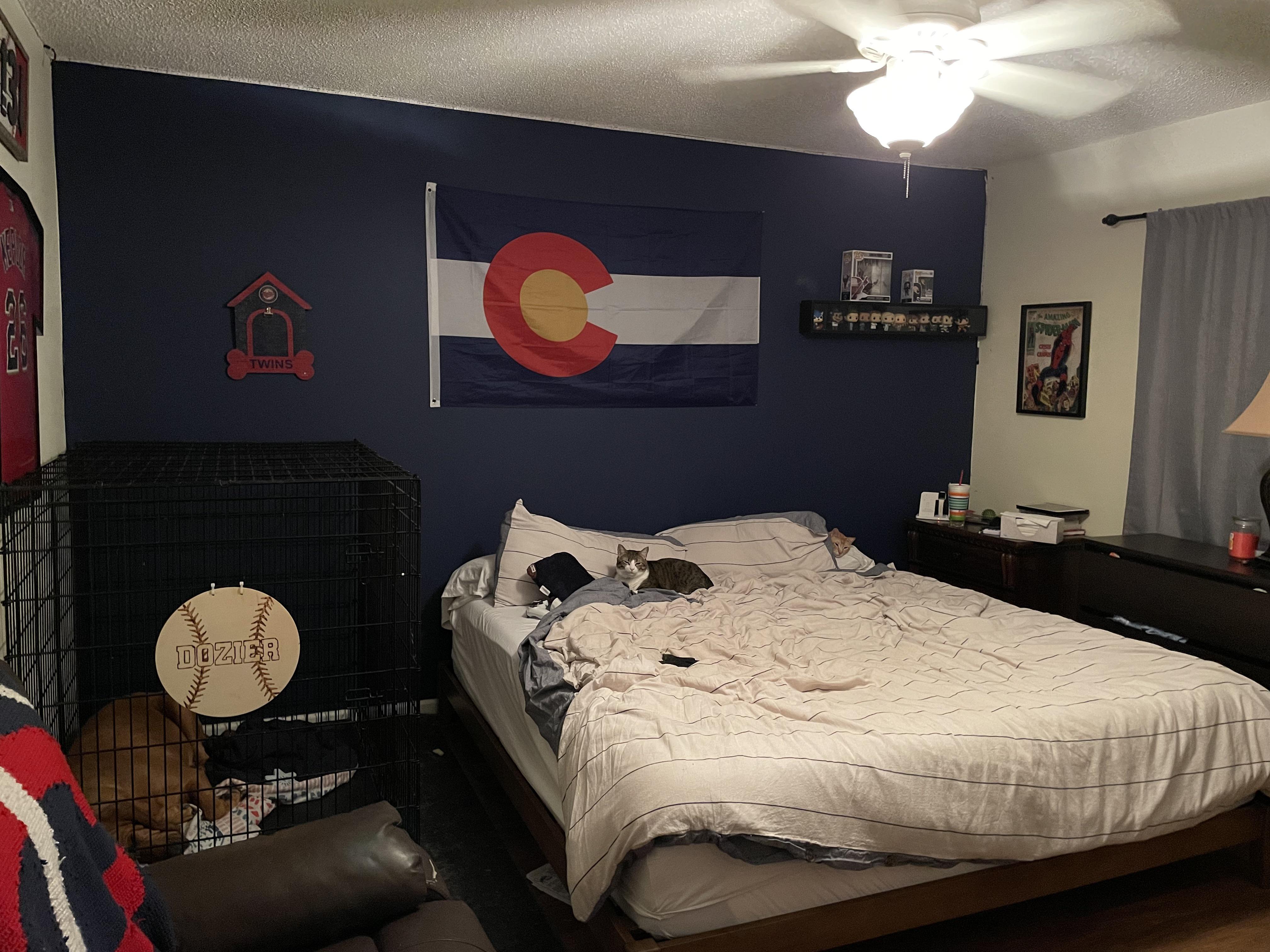 Trying to get ideas on how to upgrade my bedroom r/malelivingspace