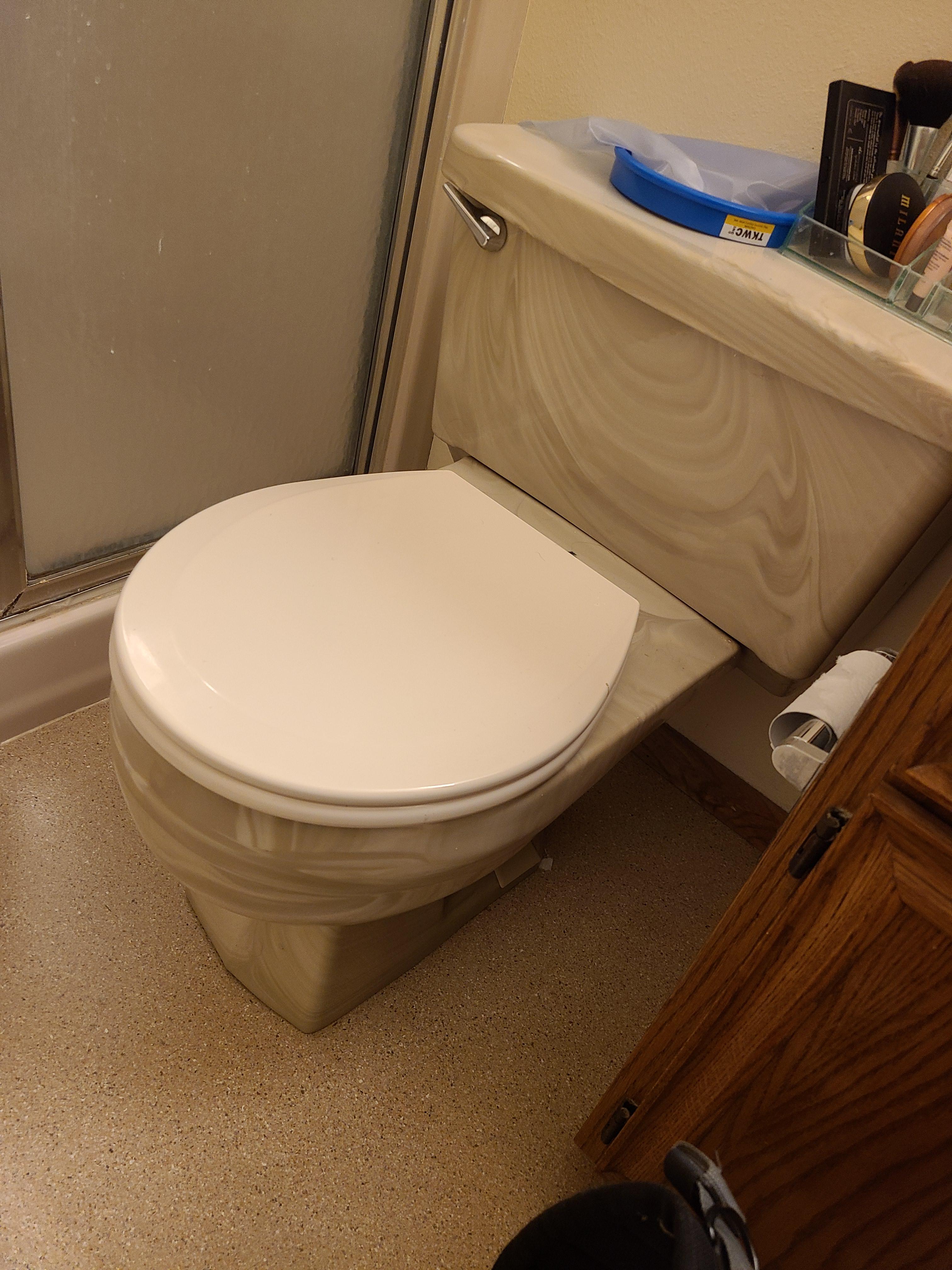 Pretty hard to color match toilet seat. r/Plumbing