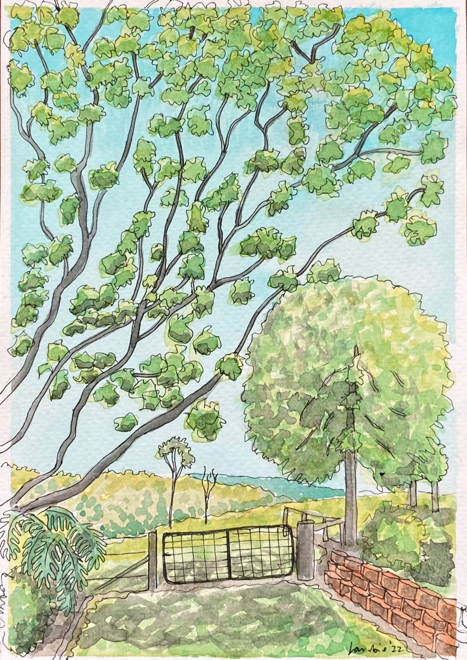 Hodgson Vale r/Toowoomba