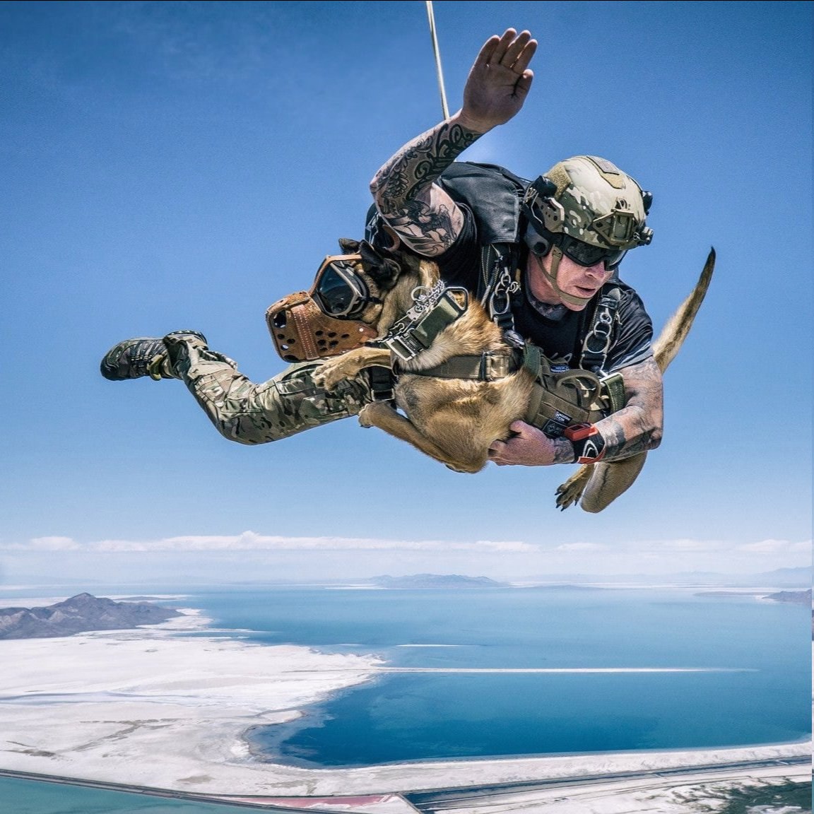 K9 of the US Special Operations Forces in action. r/Molon_Labe