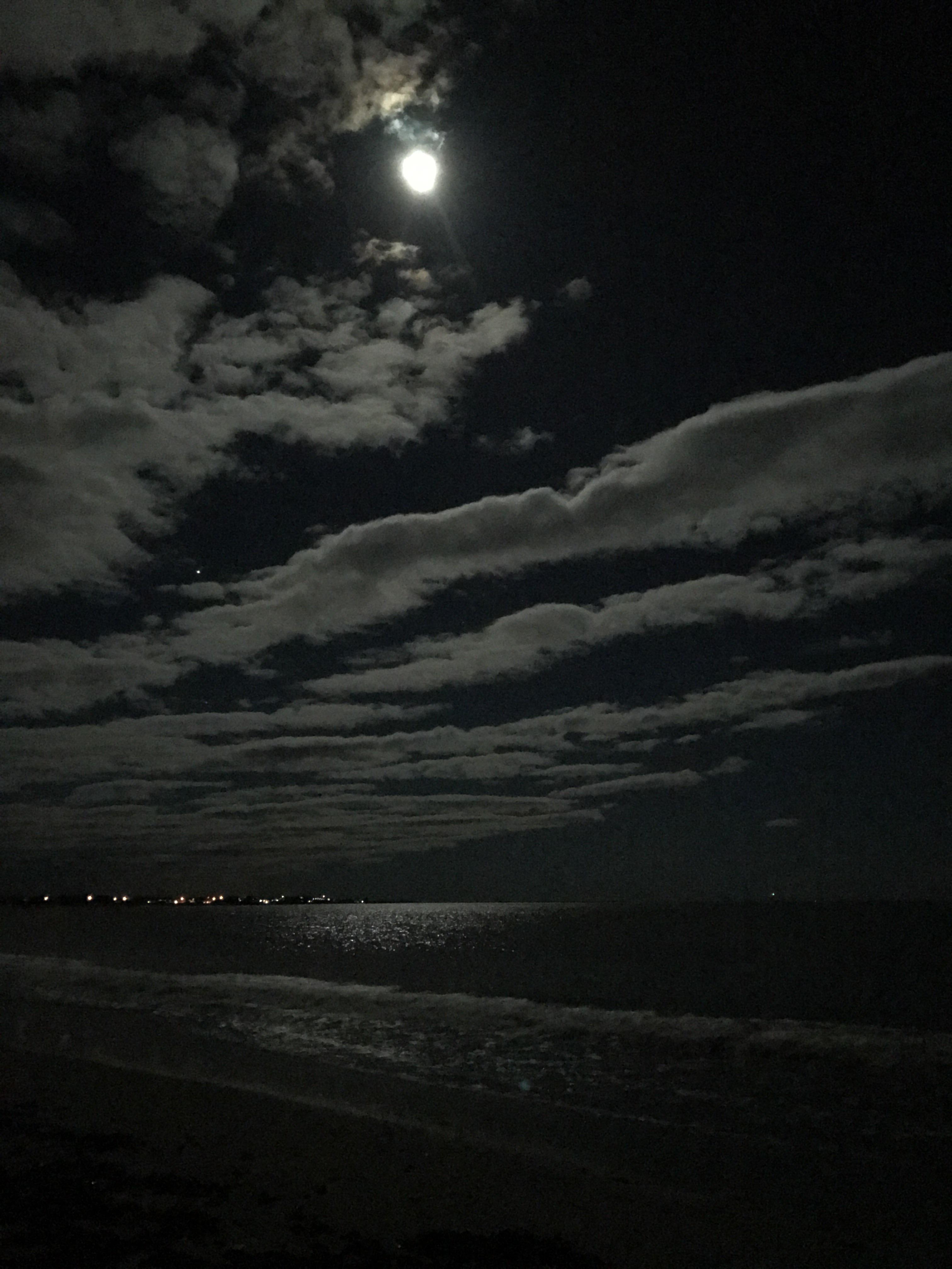 Photo I took on the beach late last night r/pics