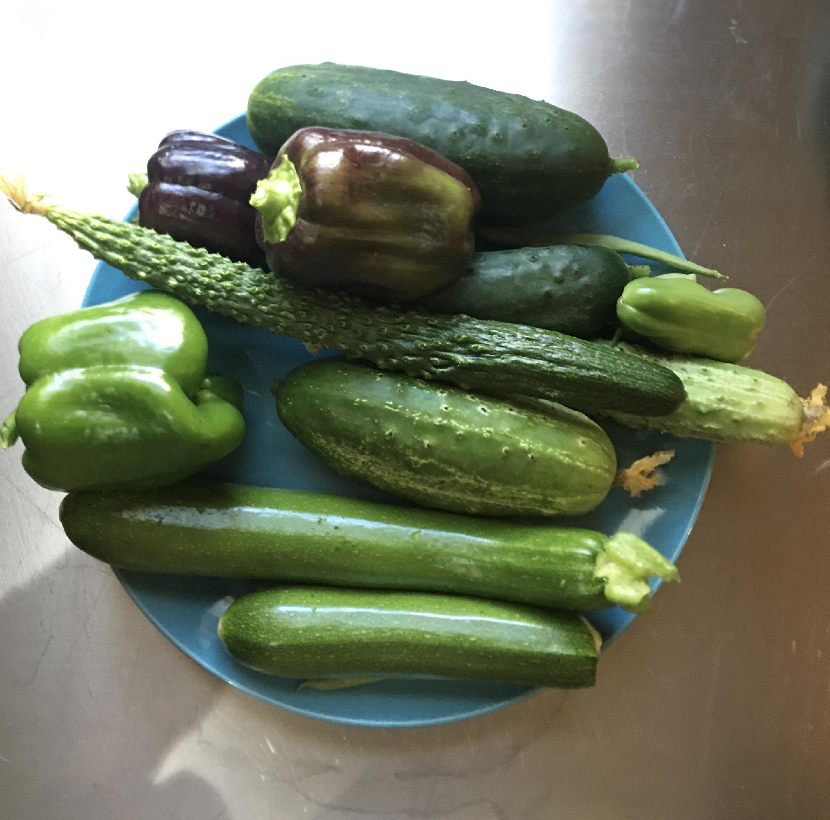 Today’s harvest. The wave of vegetables is starting to come in. Zone