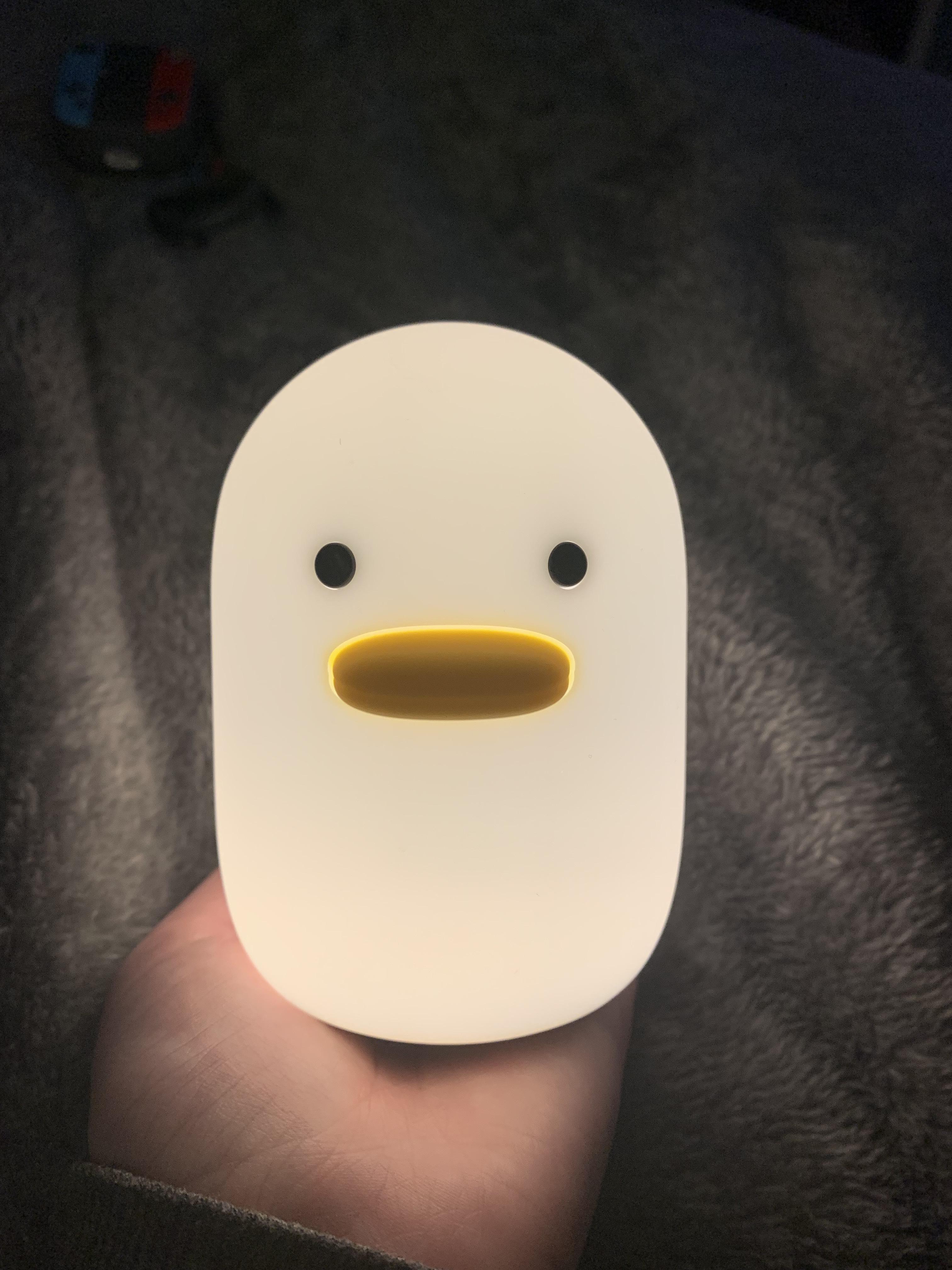 Fear my Benson the duck r/dreamsmp