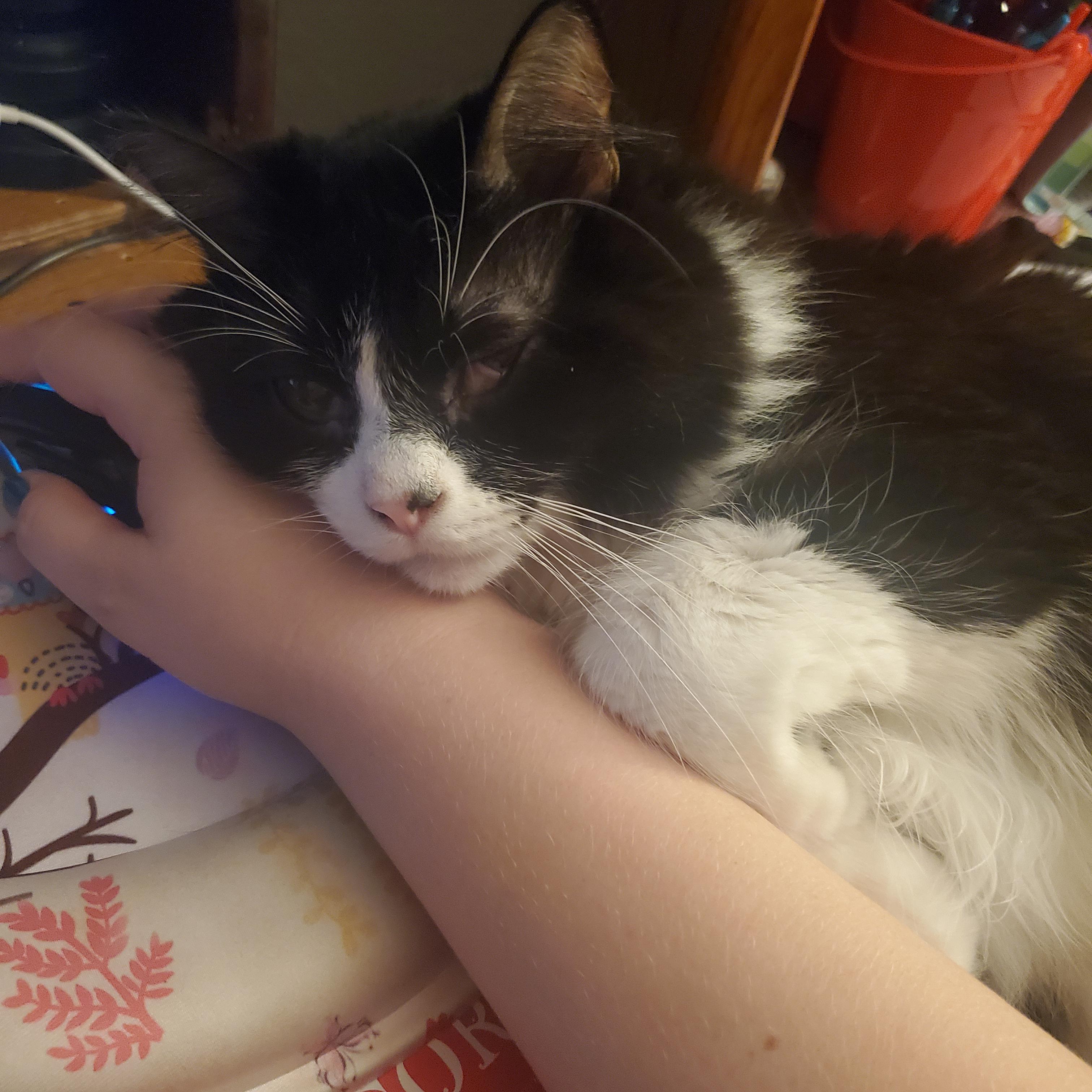 Holding my hand while I work. r/Eyebleach