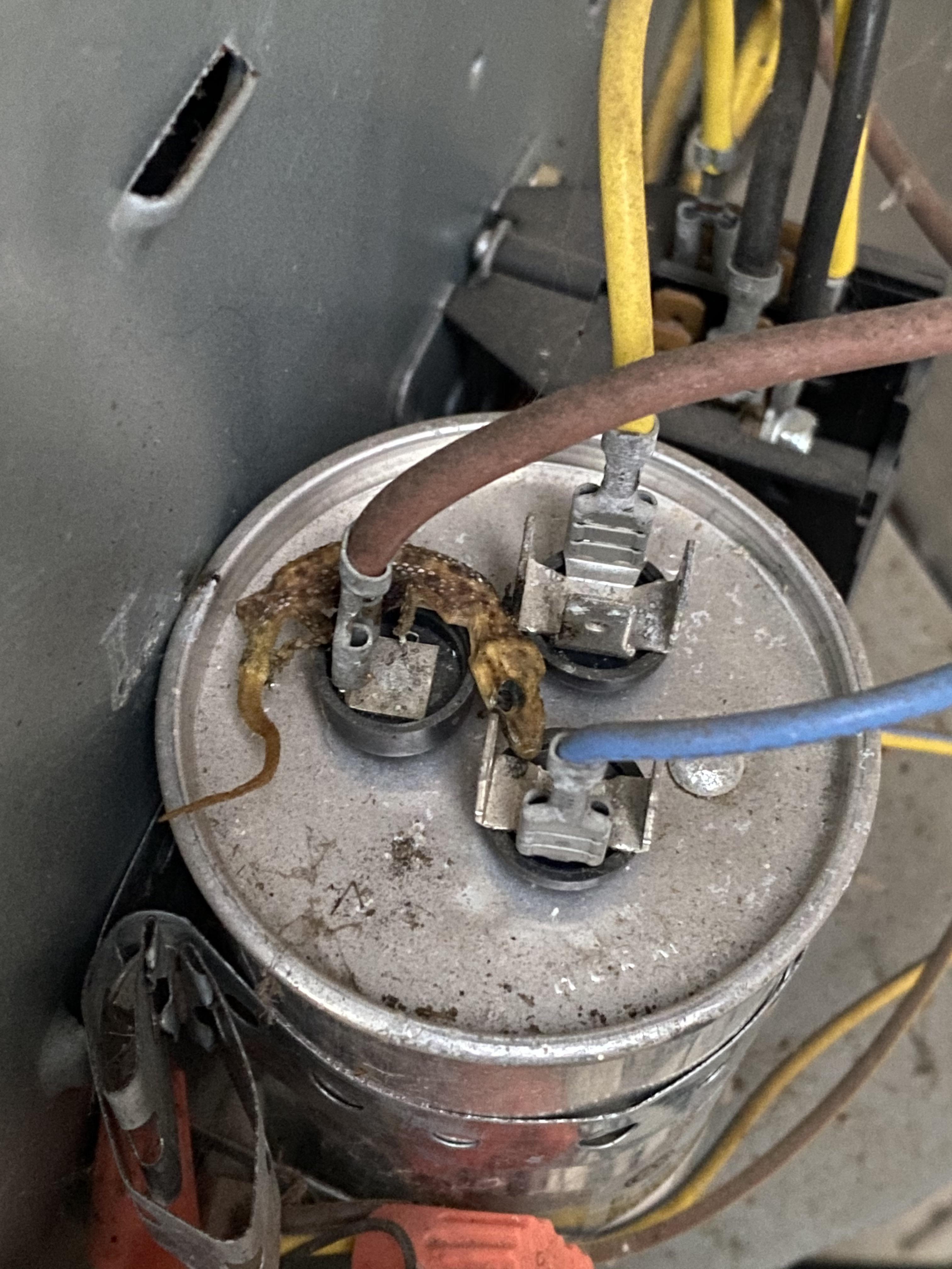 Air Conditioner stopped working when it was 105 degrees out yesterday