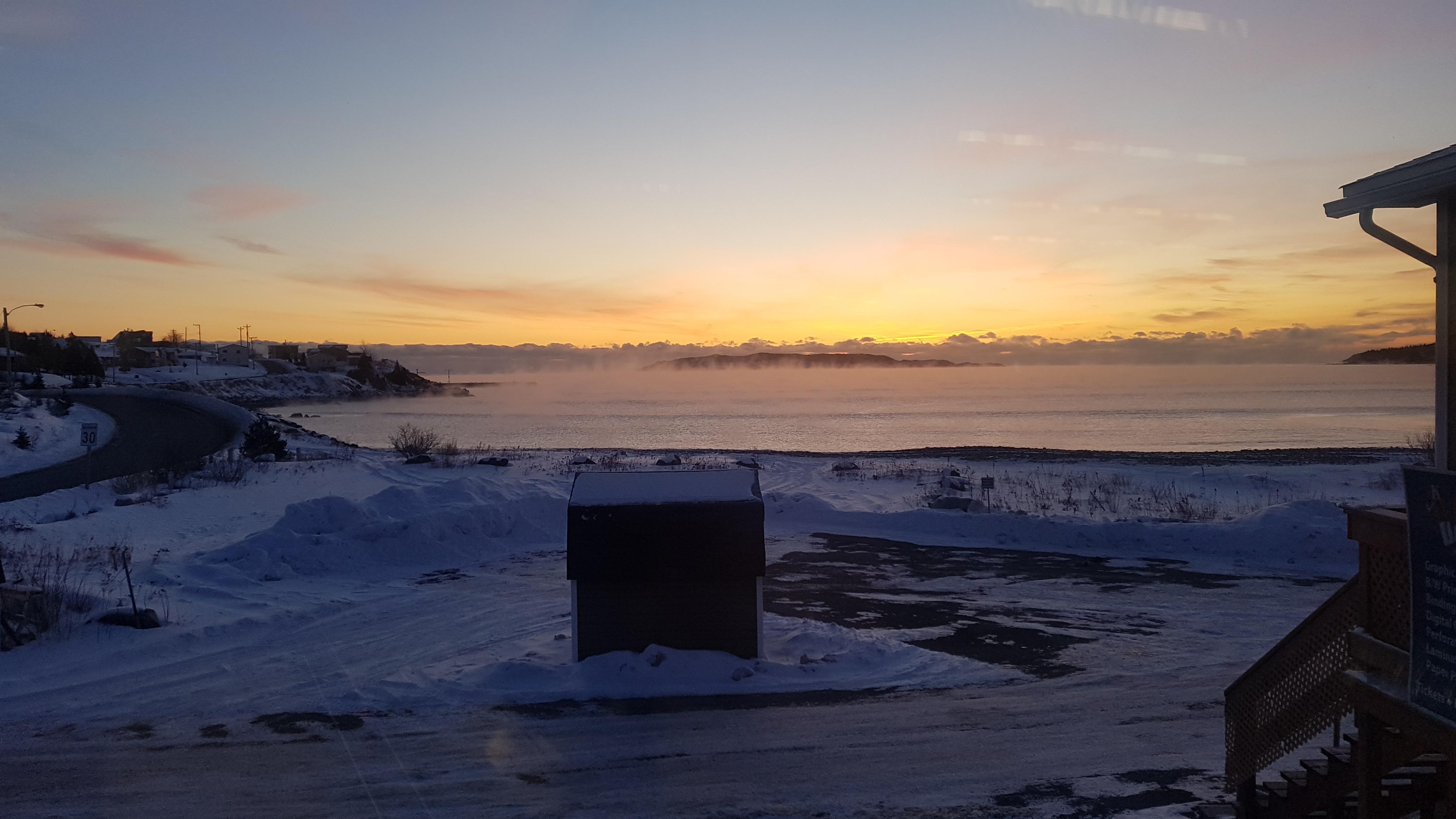 From Needs Witless Bay r/newfoundland