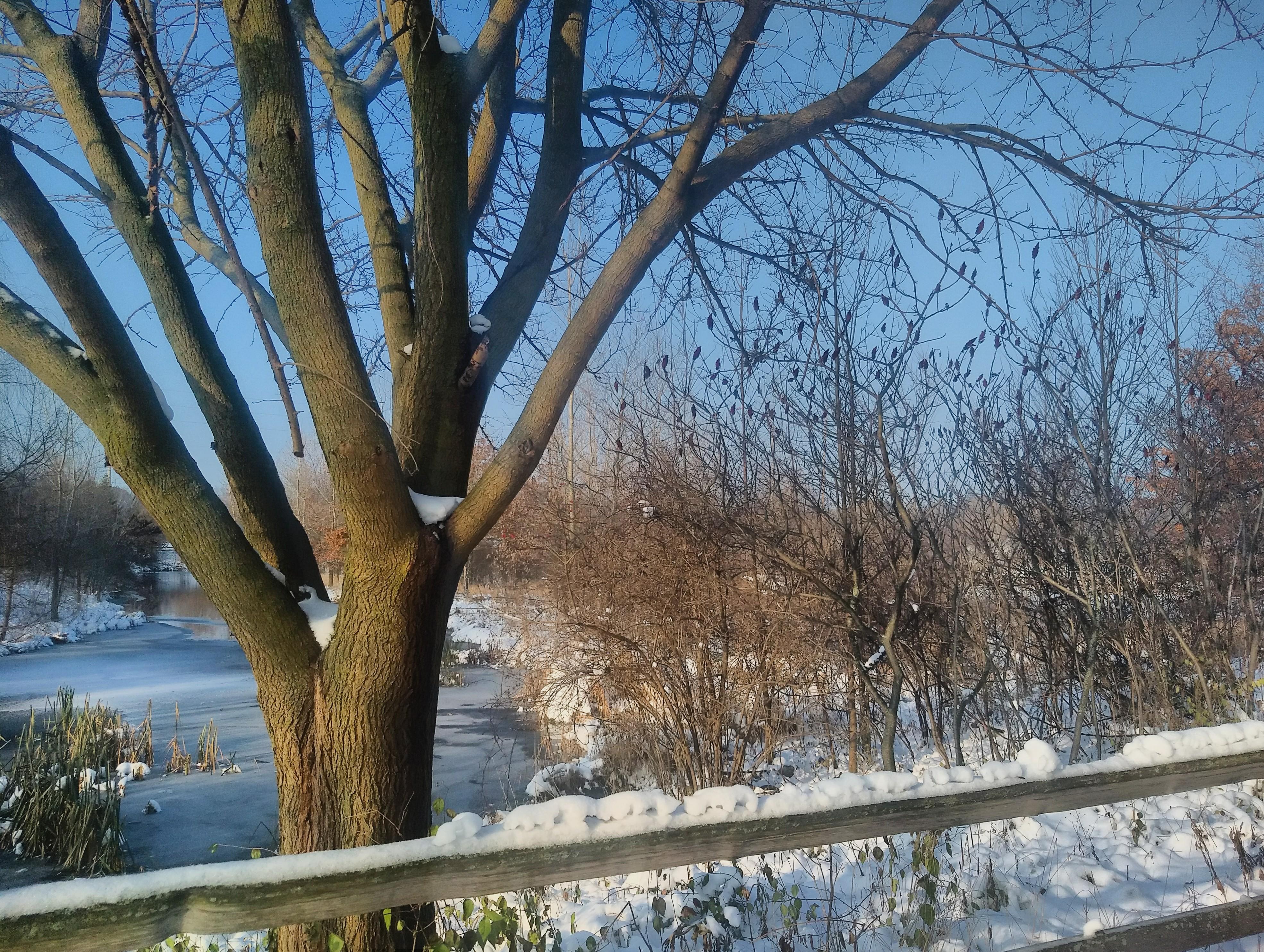 208 best Lansing Michigan images on Pholder Michigan, Pics and