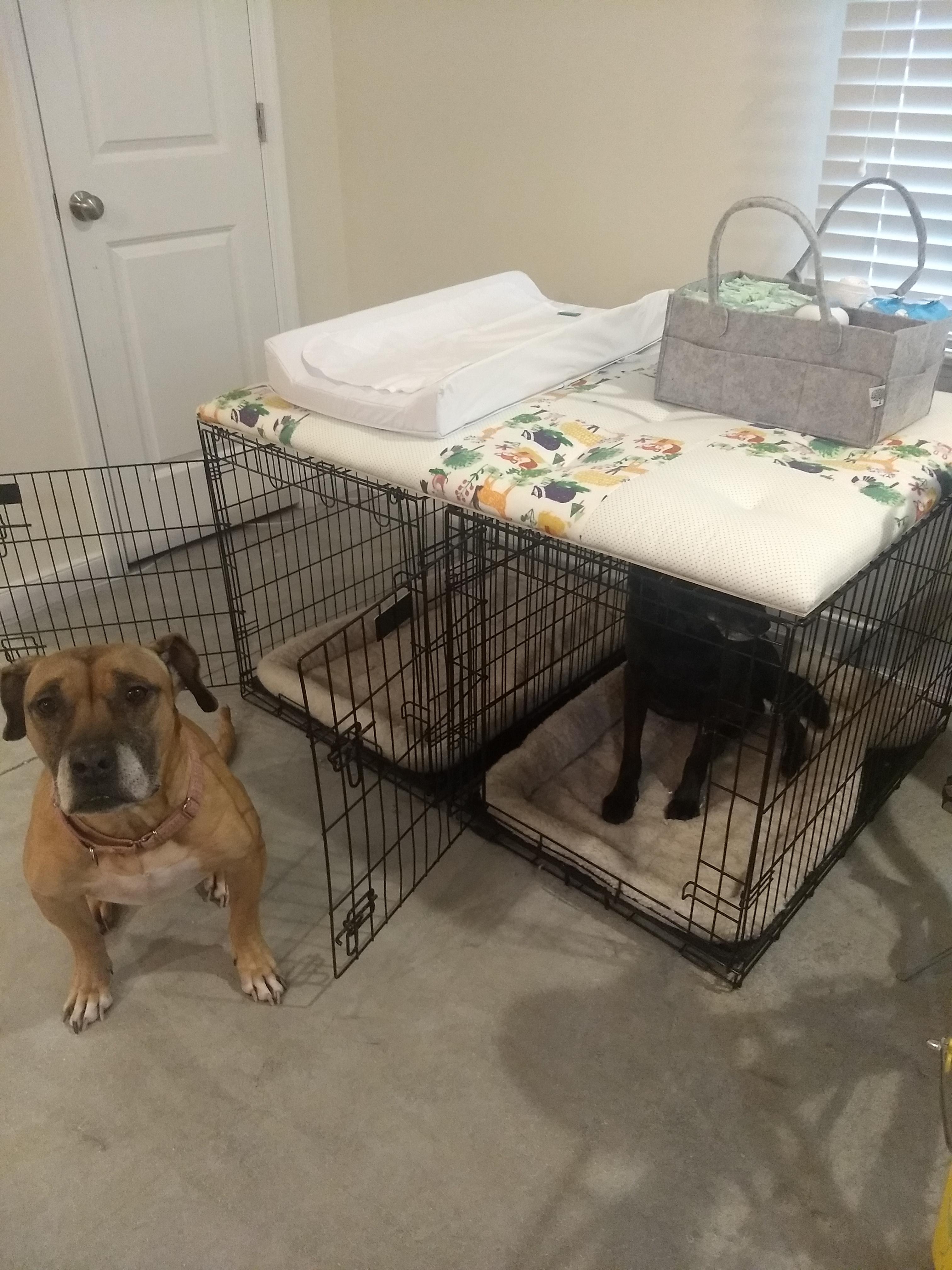 Diaper Changing Station (No Nursery, Small Apartment) r/BabyBumps