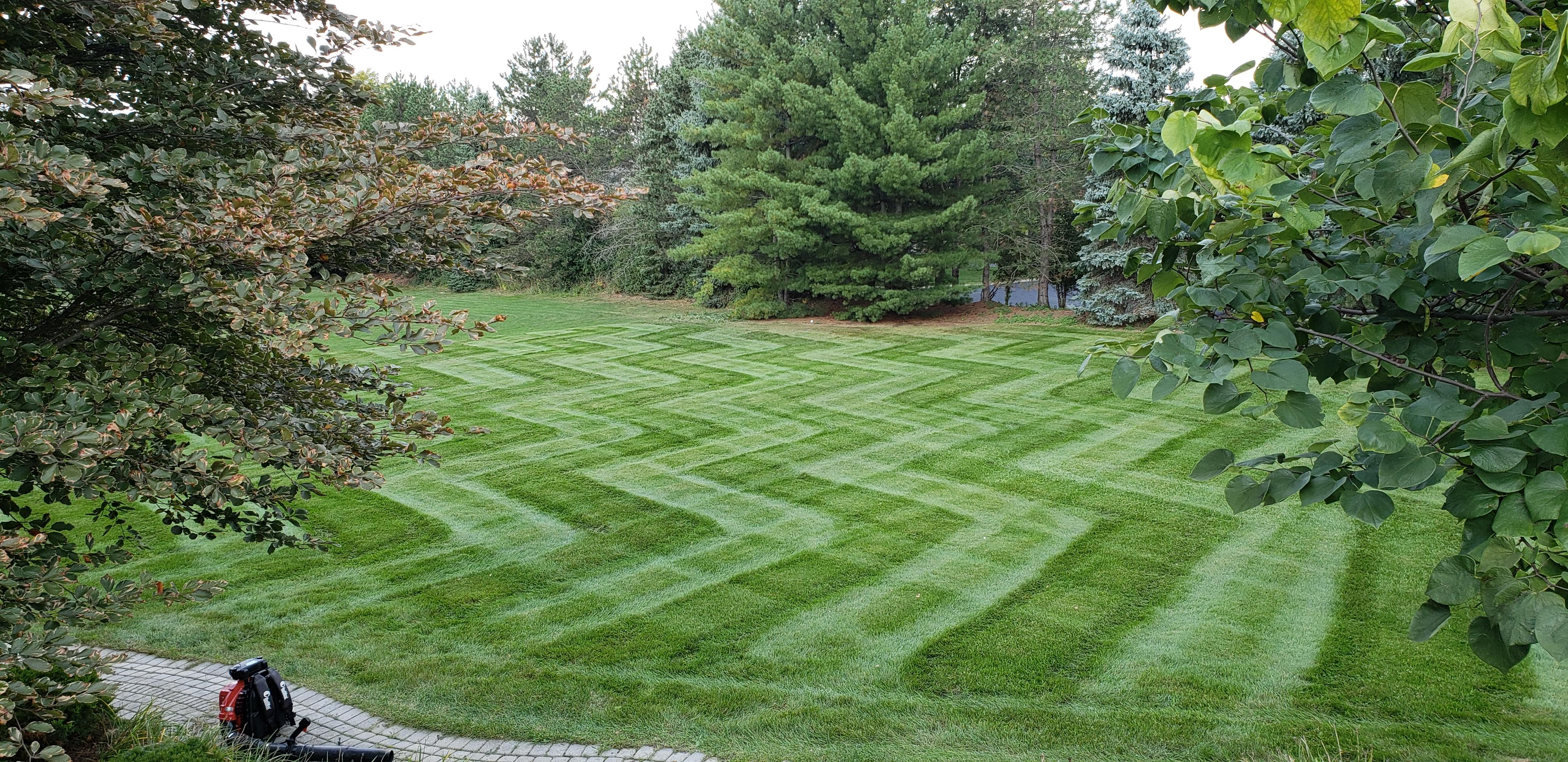 Last week I posted the zig zag pattern I did in my backyard. I own my