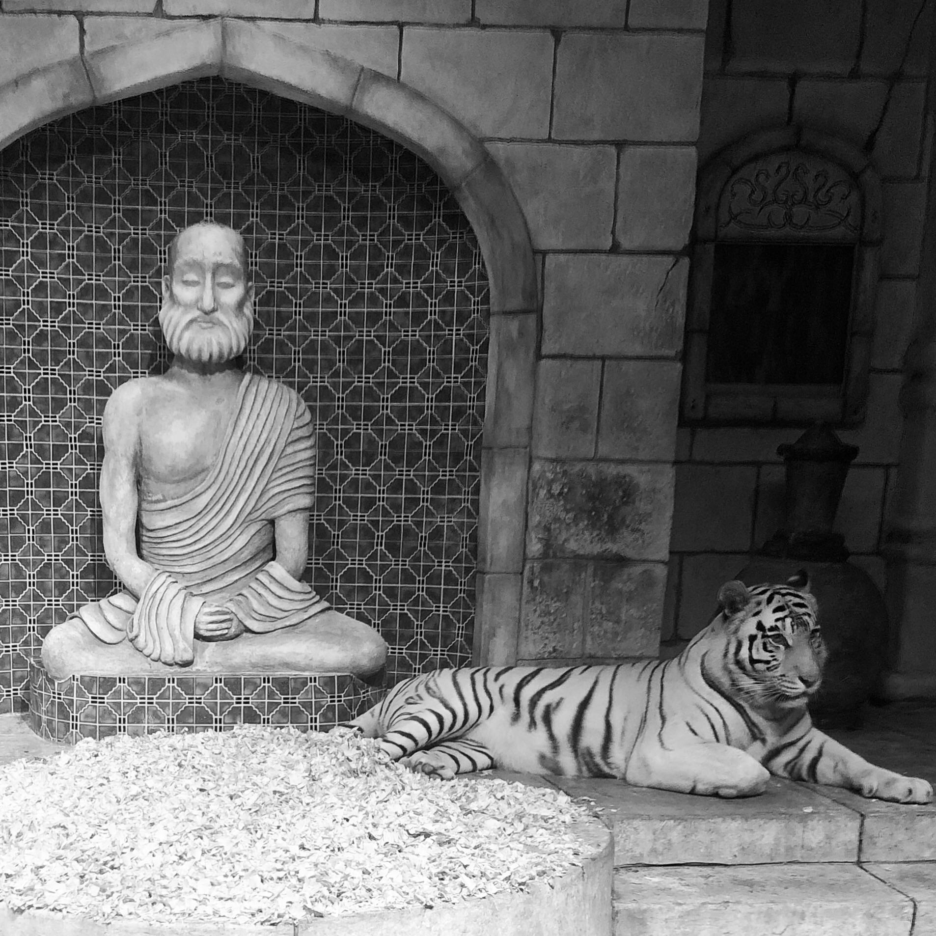 Before we can tame the tiger we must first track it down... and old