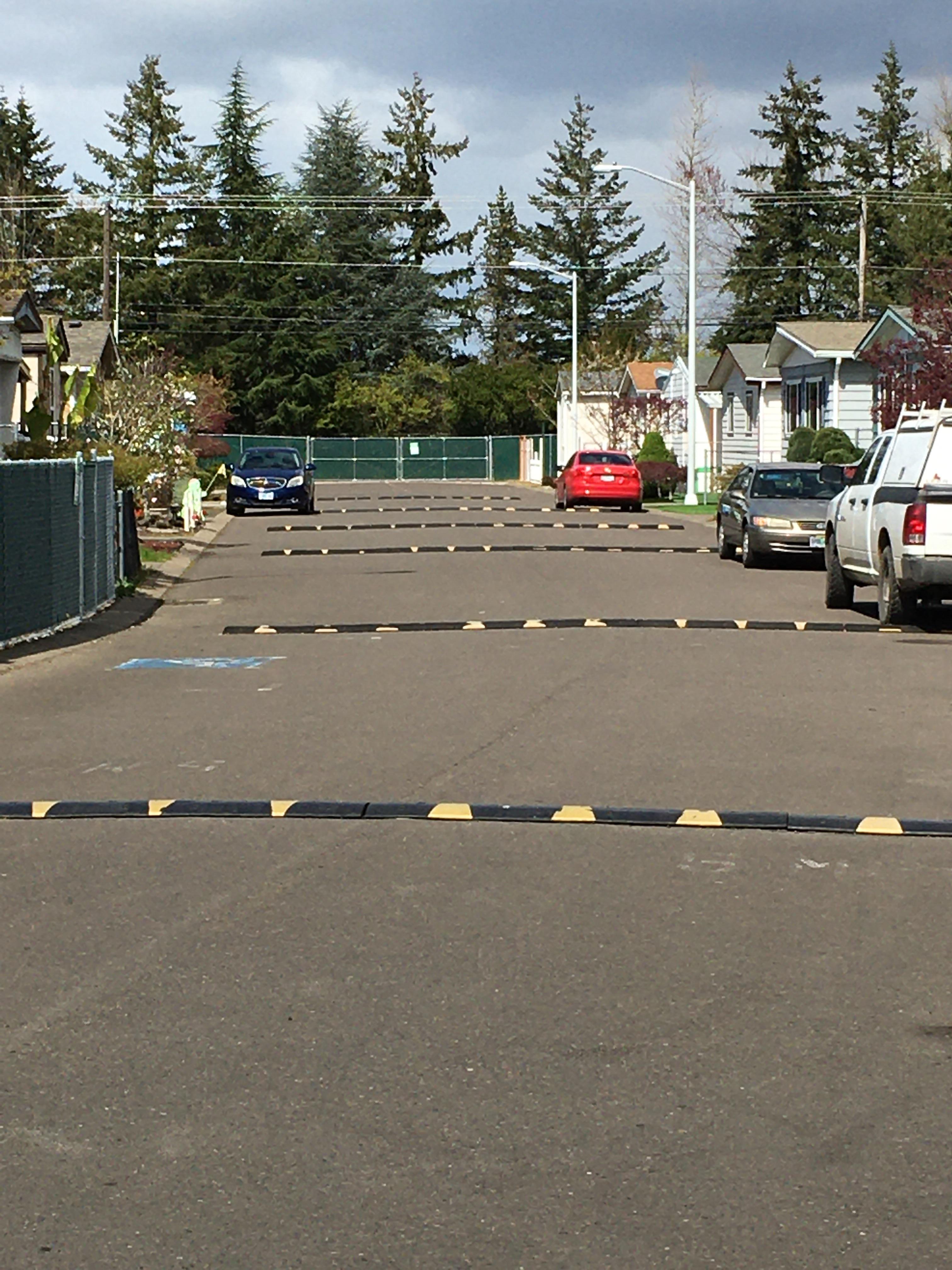 The street in this McMinnville, Oregon trailer park. r/assholedesign